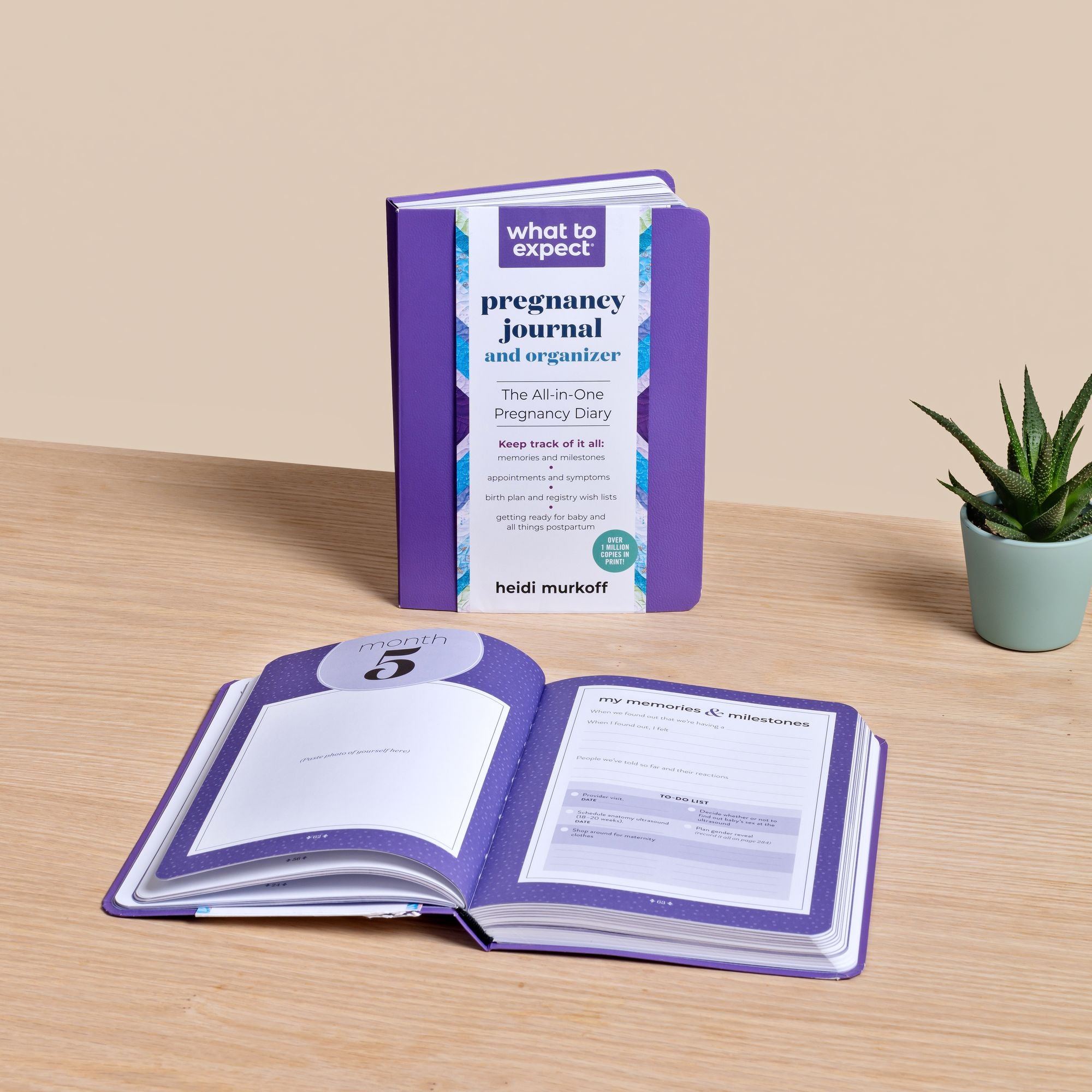 What to Expect Pregnancy Journal and Organizer: The All-in-One Pregnancy Diary