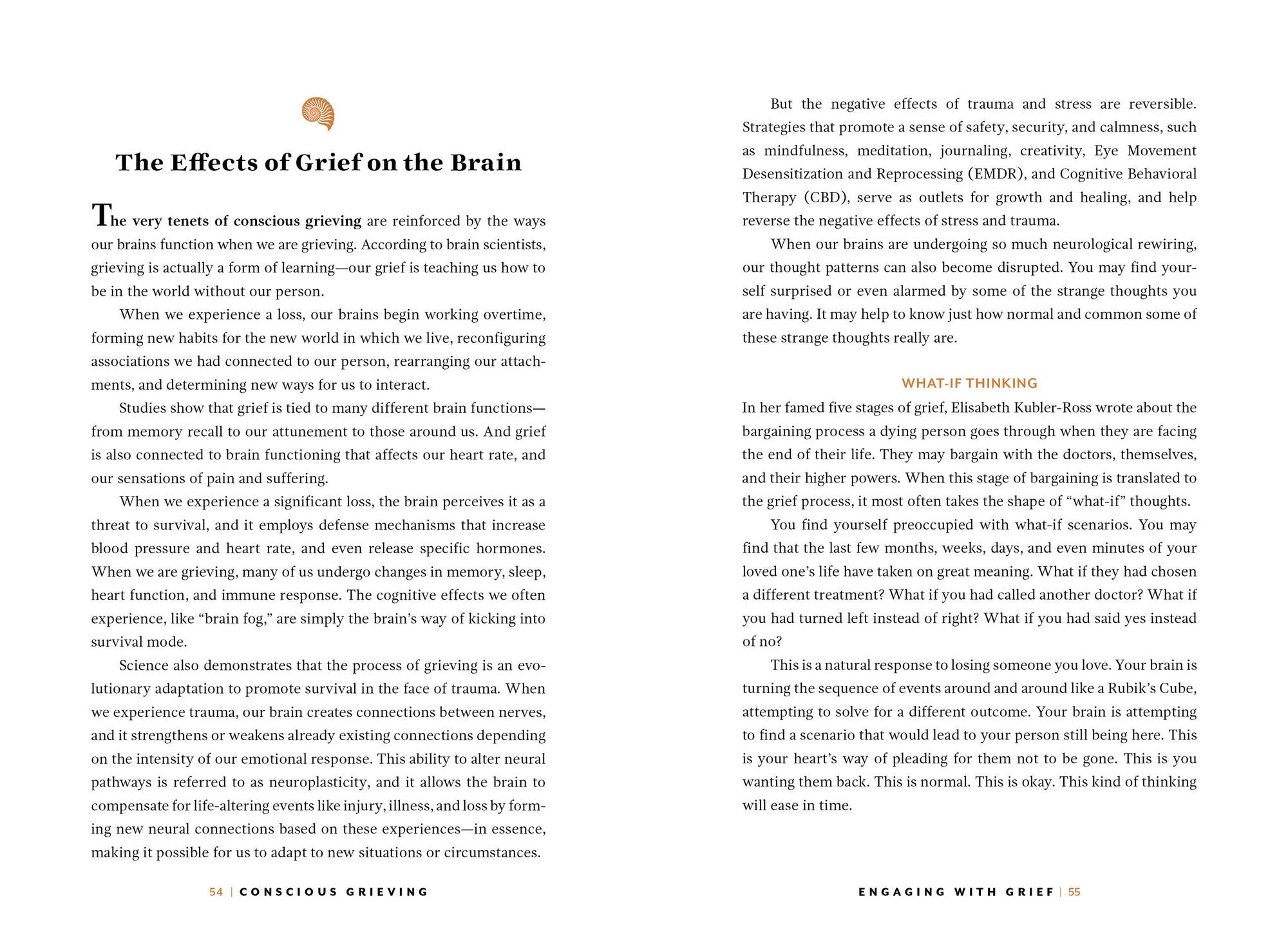 Conscious Grieving: A Transformative Approach to Healing from Loss