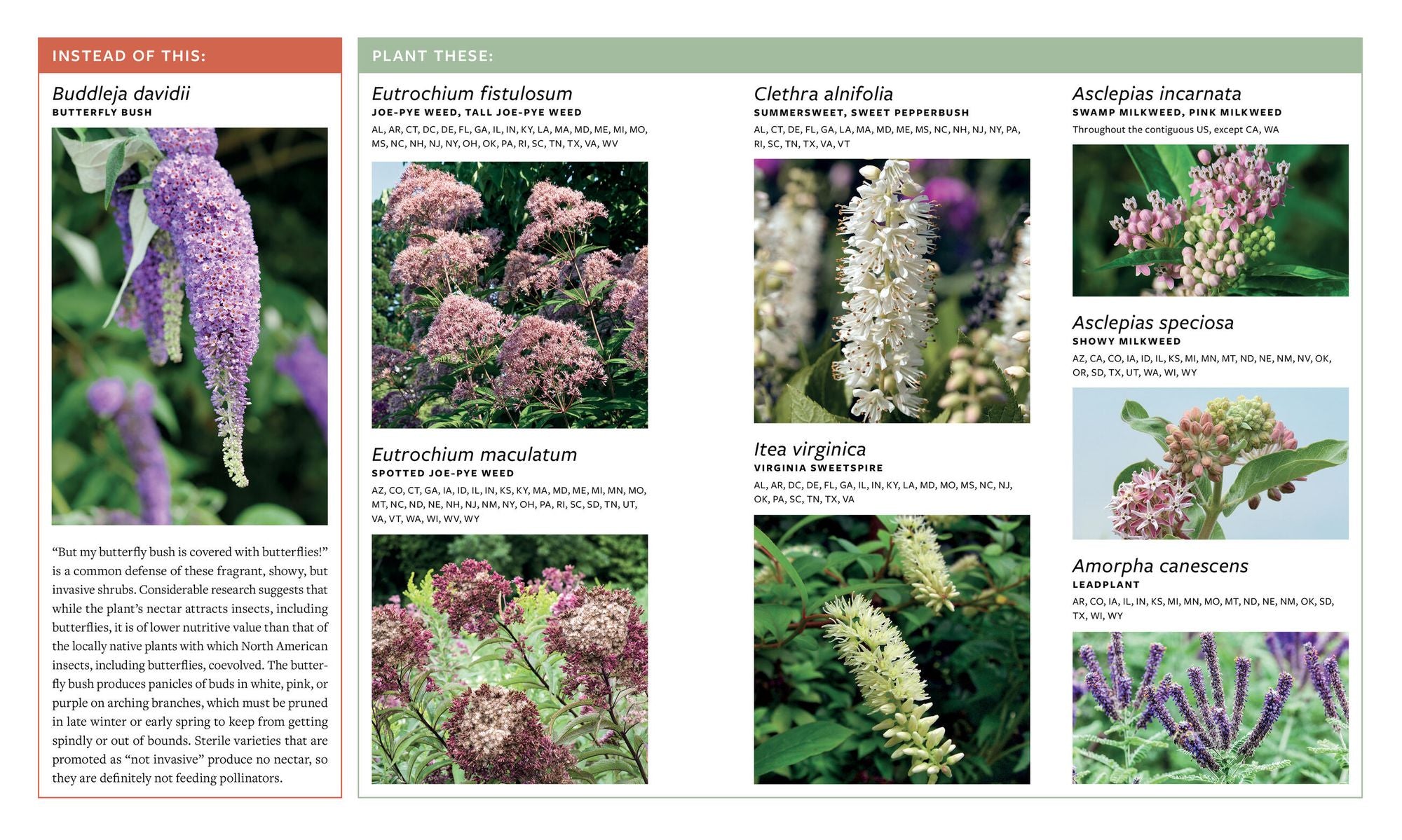 Plant This, Not That: Over 200 Native Plant Swaps for a More Sustainable, Pollinator-Friendly Garden