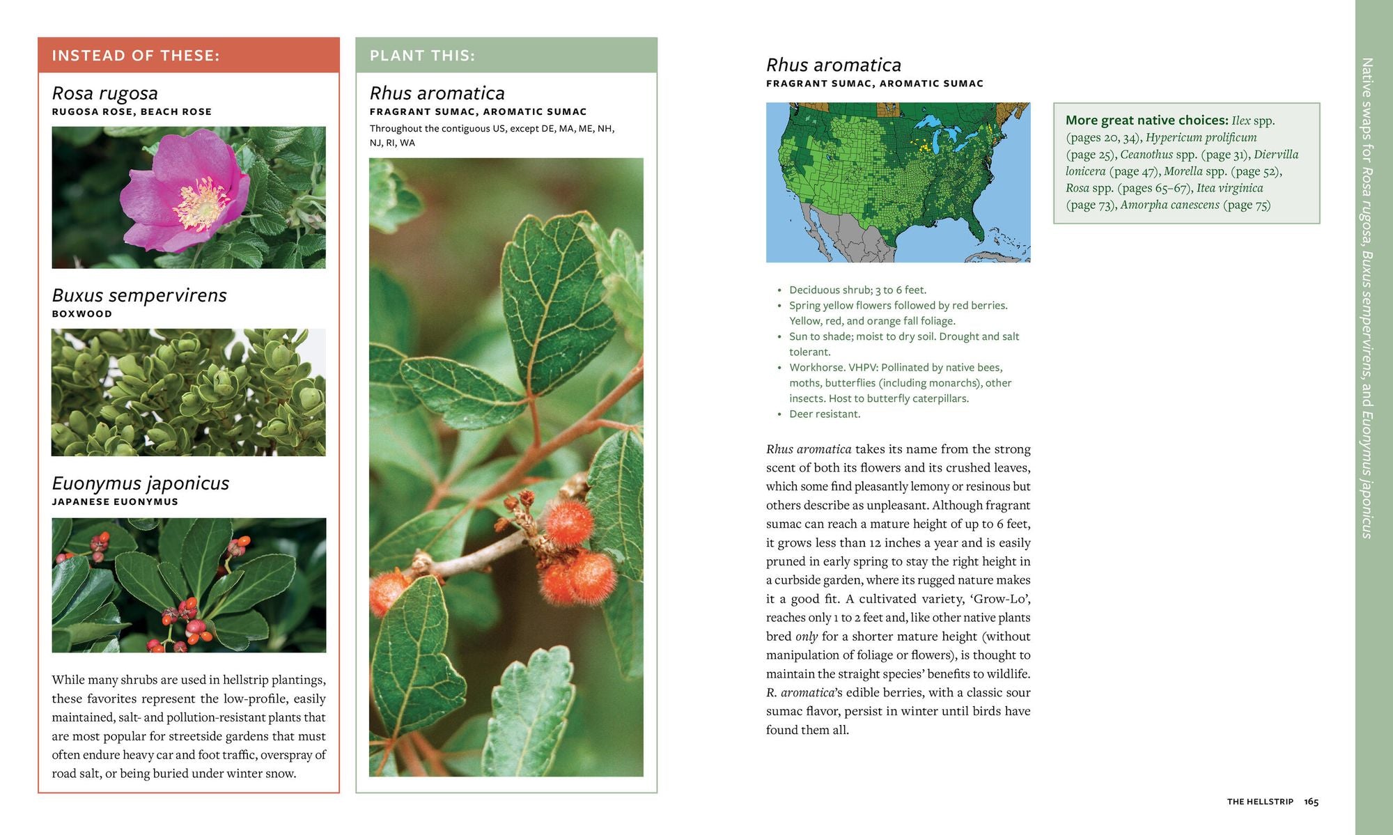 Plant This, Not That: Over 200 Native Plant Swaps for a More Sustainable, Pollinator-Friendly Garden