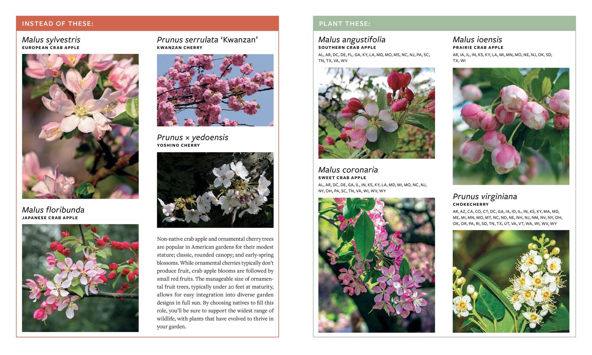 Plant This, Not That: Over 200 Native Plant Swaps for a More Sustainable, Pollinator-Friendly Garden