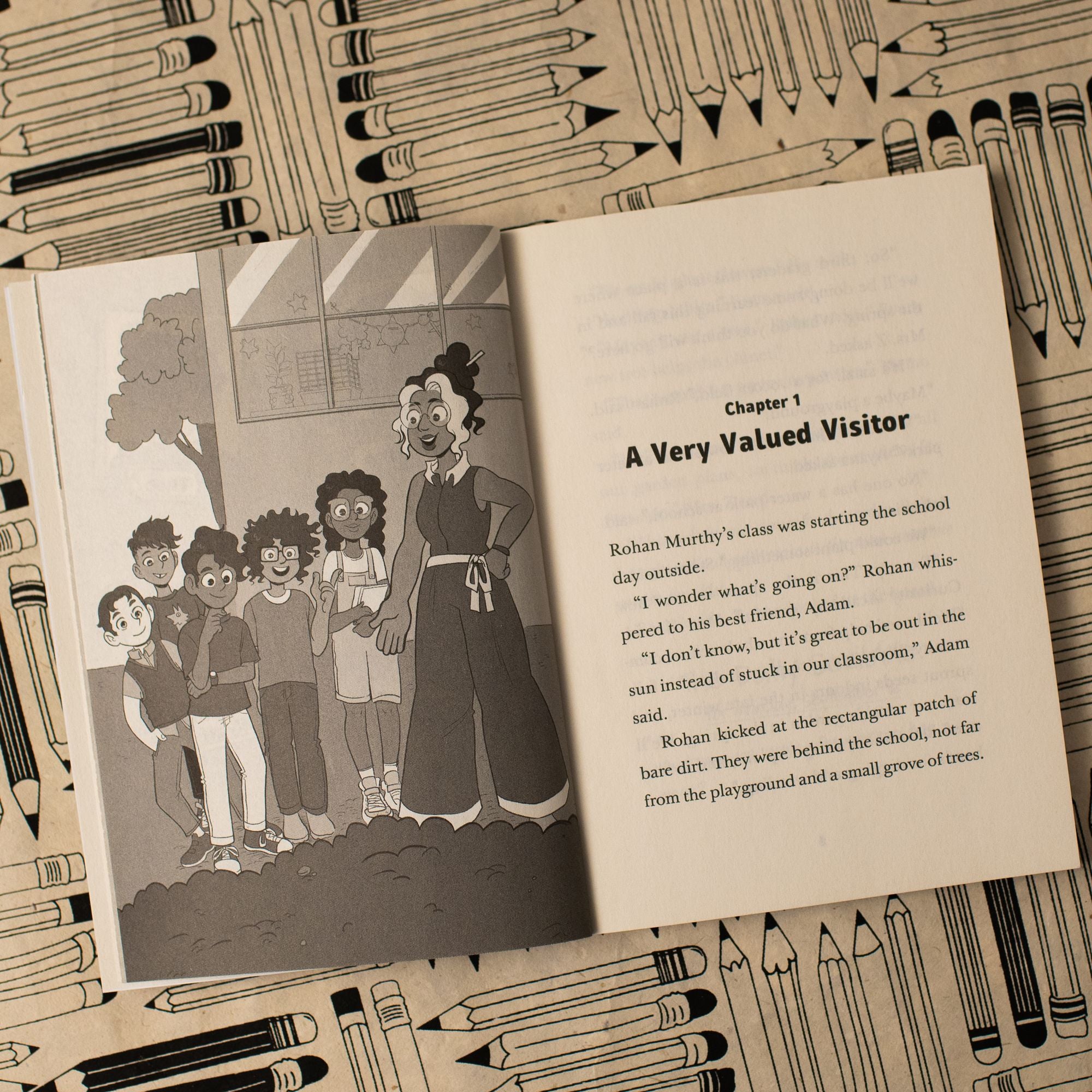 The Kids in Mrs. Z's Class: Rohan Murthy Has a Plan