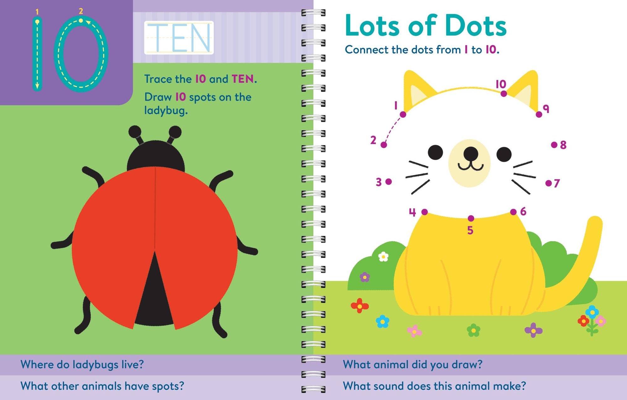 Brain Quest Write and Erase: Preschool Skills