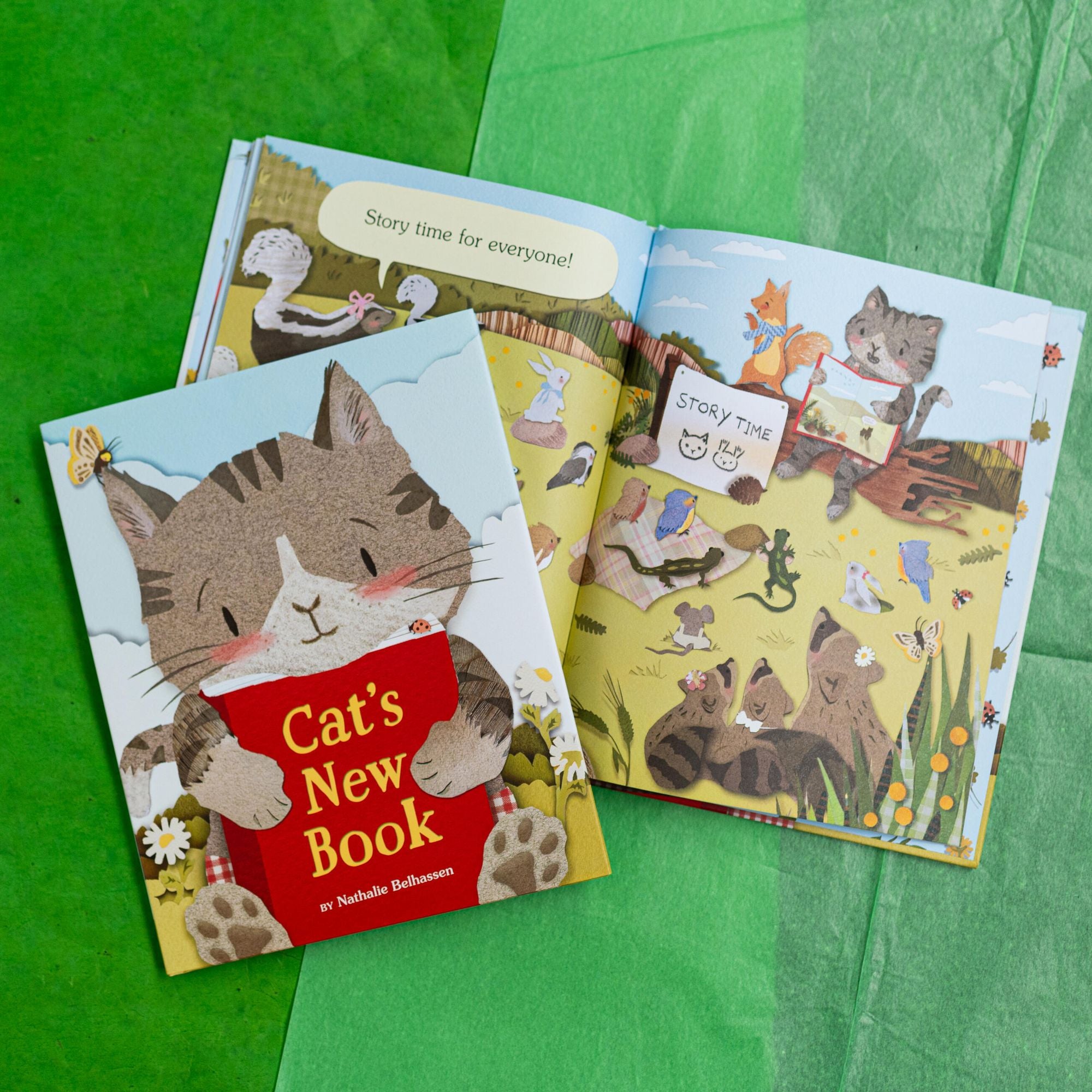 Cat's New Book