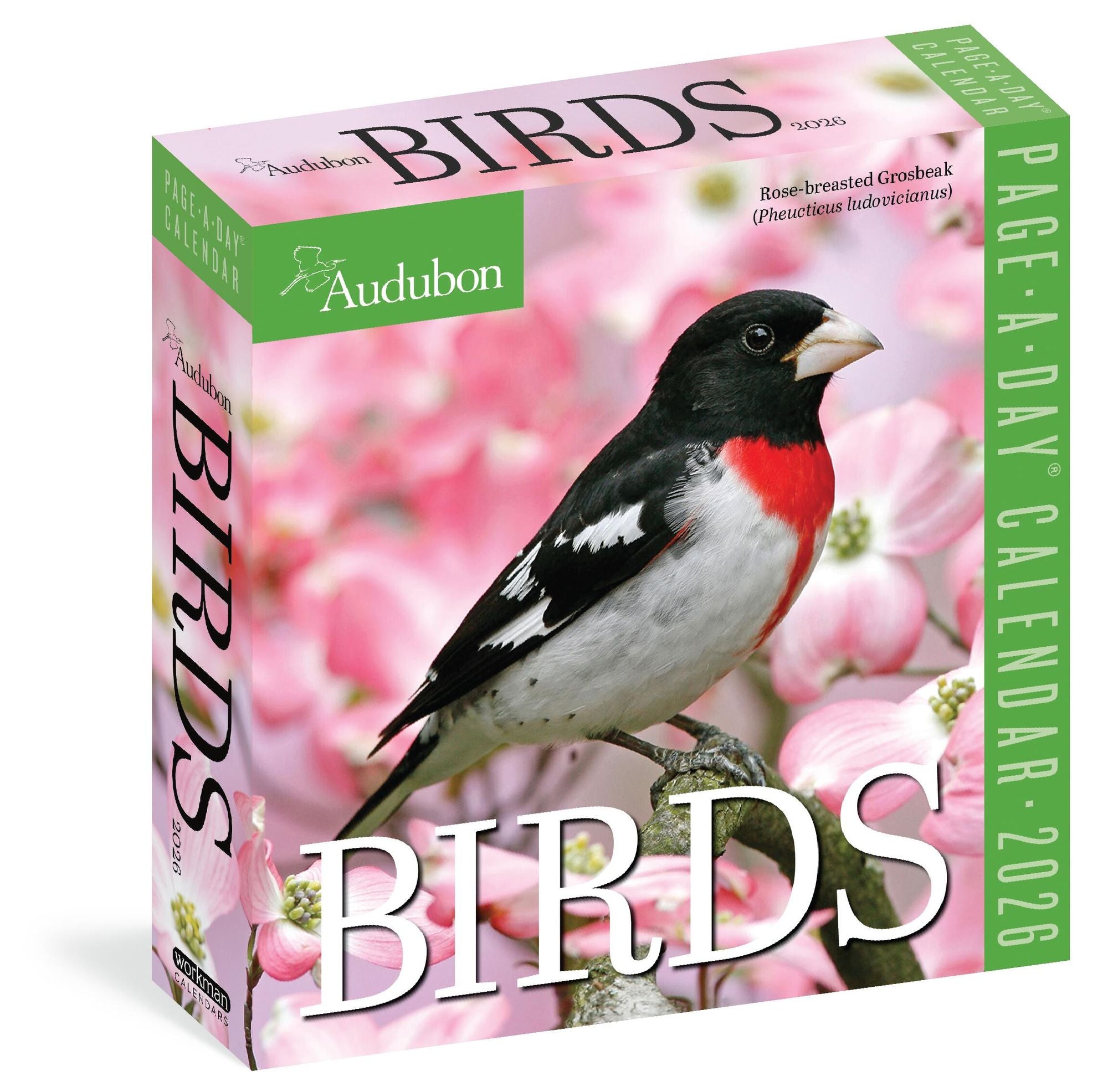 2026 Audubon Birds Page-A-Day Calendar