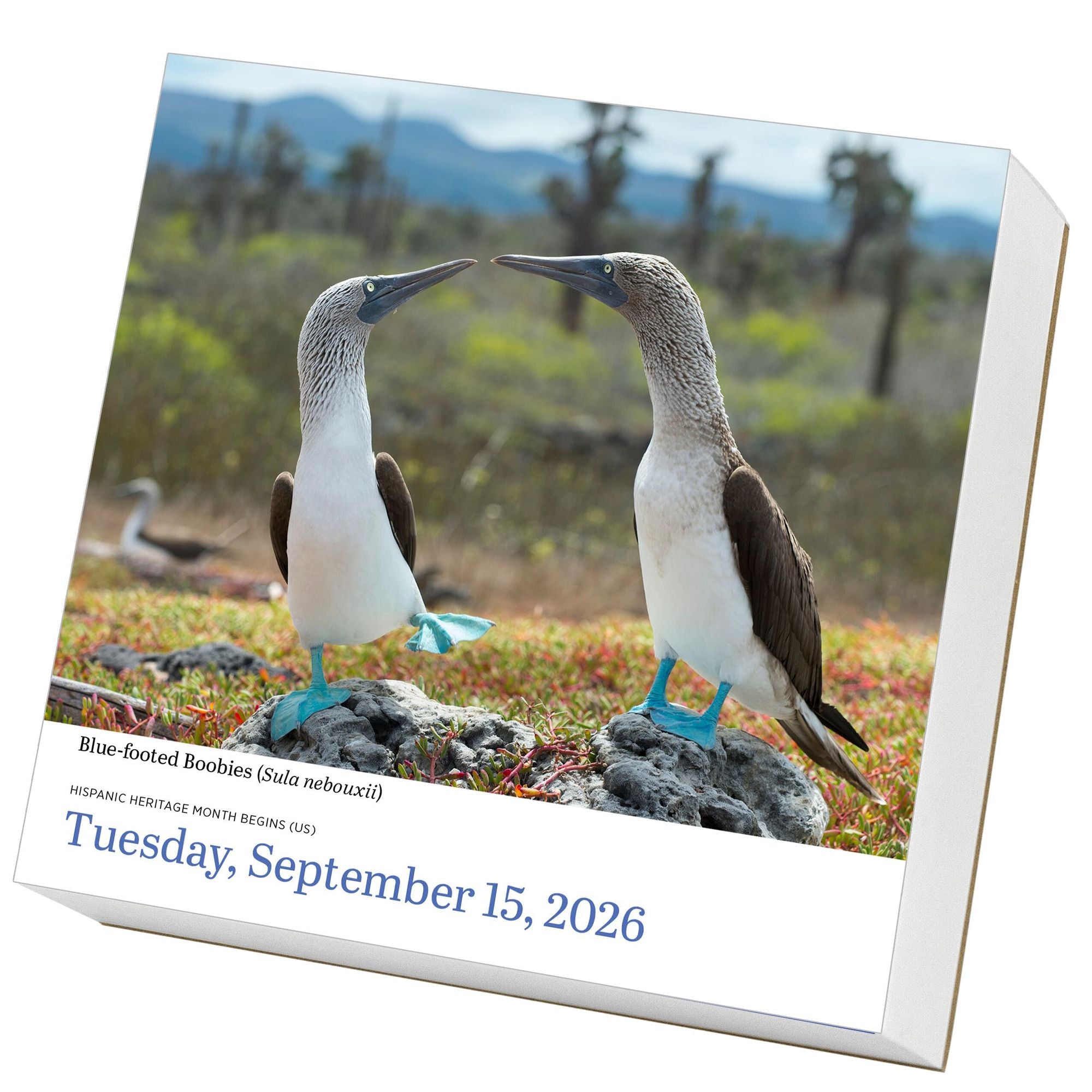 2026 Audubon Birds Page-A-Day Calendar