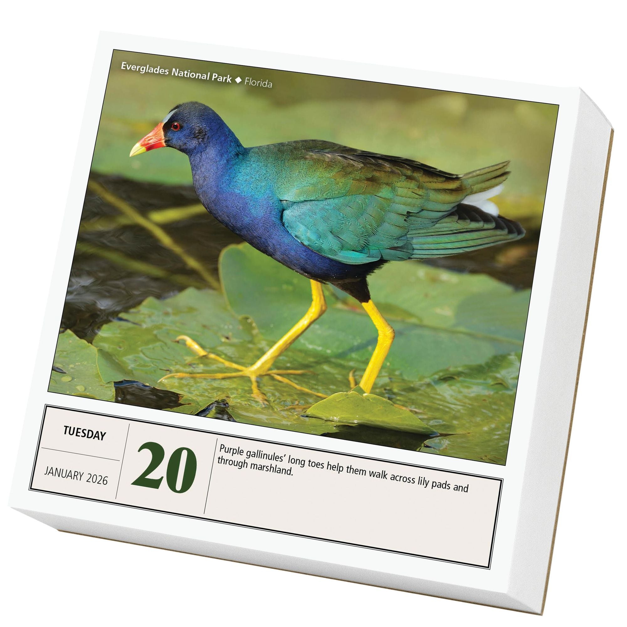 2026 National Parks Page-A-Day Calendar