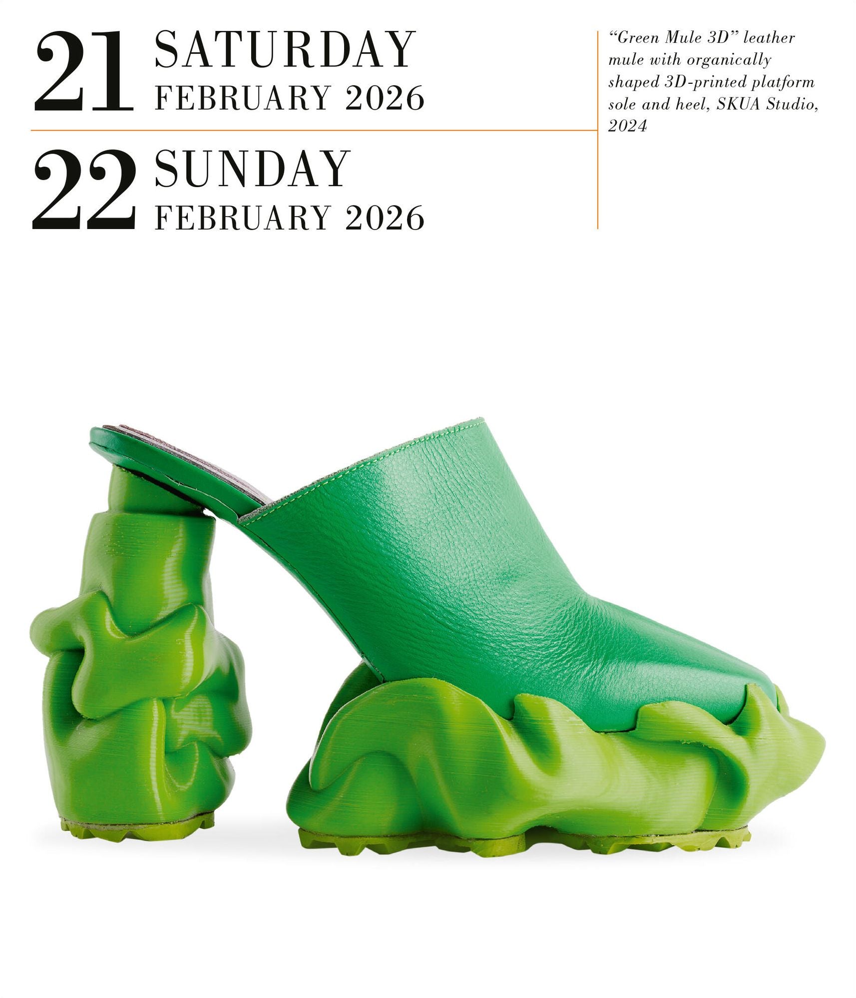 Shoes Page-A-Day Gallery Calendar 2026: Every Day a New Pair to Indulge the Shoe Lover's Obsession