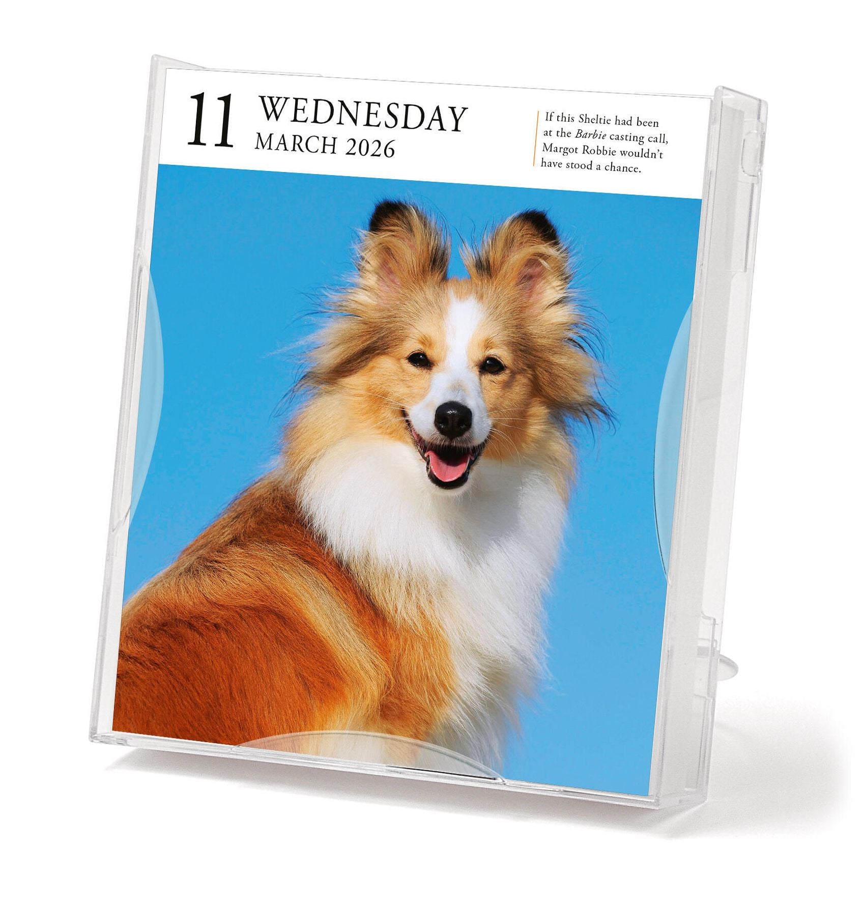 Dog Page-A-Day Gallery Calendar 2026: An Elegant Canine Celebration