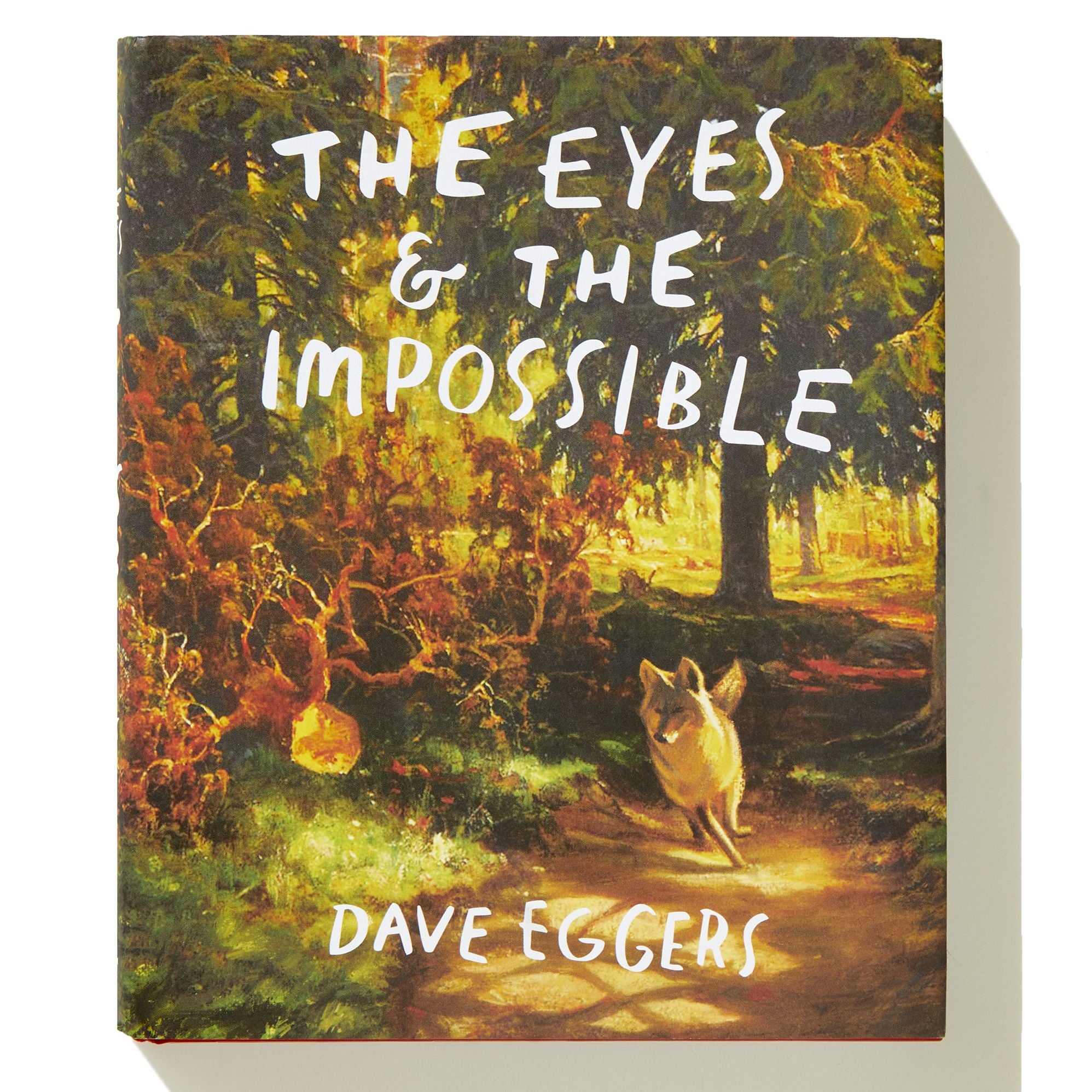 The Eyes and the Impossible (Newbery Medal Winner)