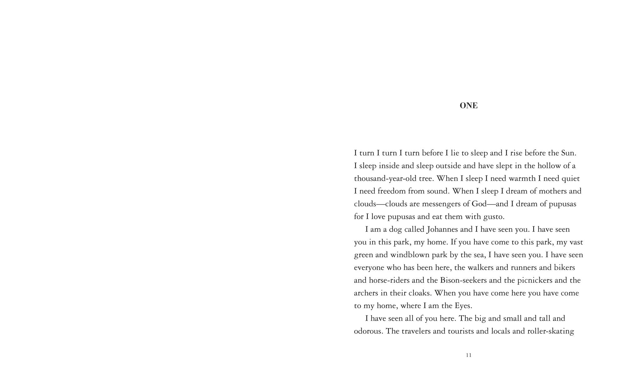 The Eyes and the Impossible (Newbery Medal Winner)