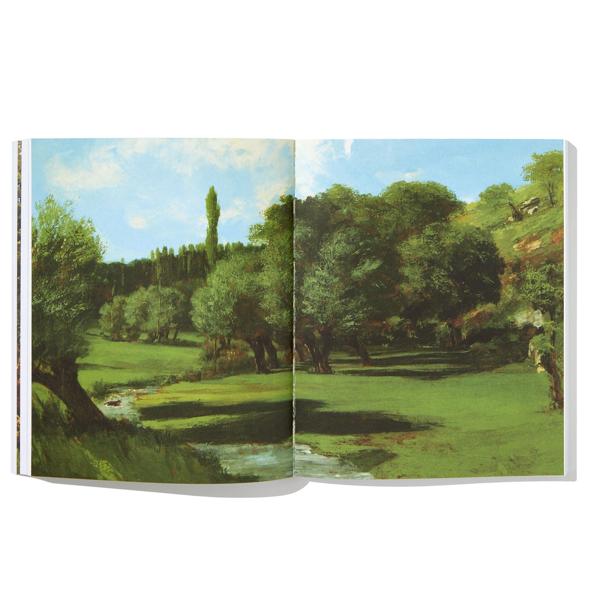 The Eyes and the Impossible (Newbery Medal Winner)