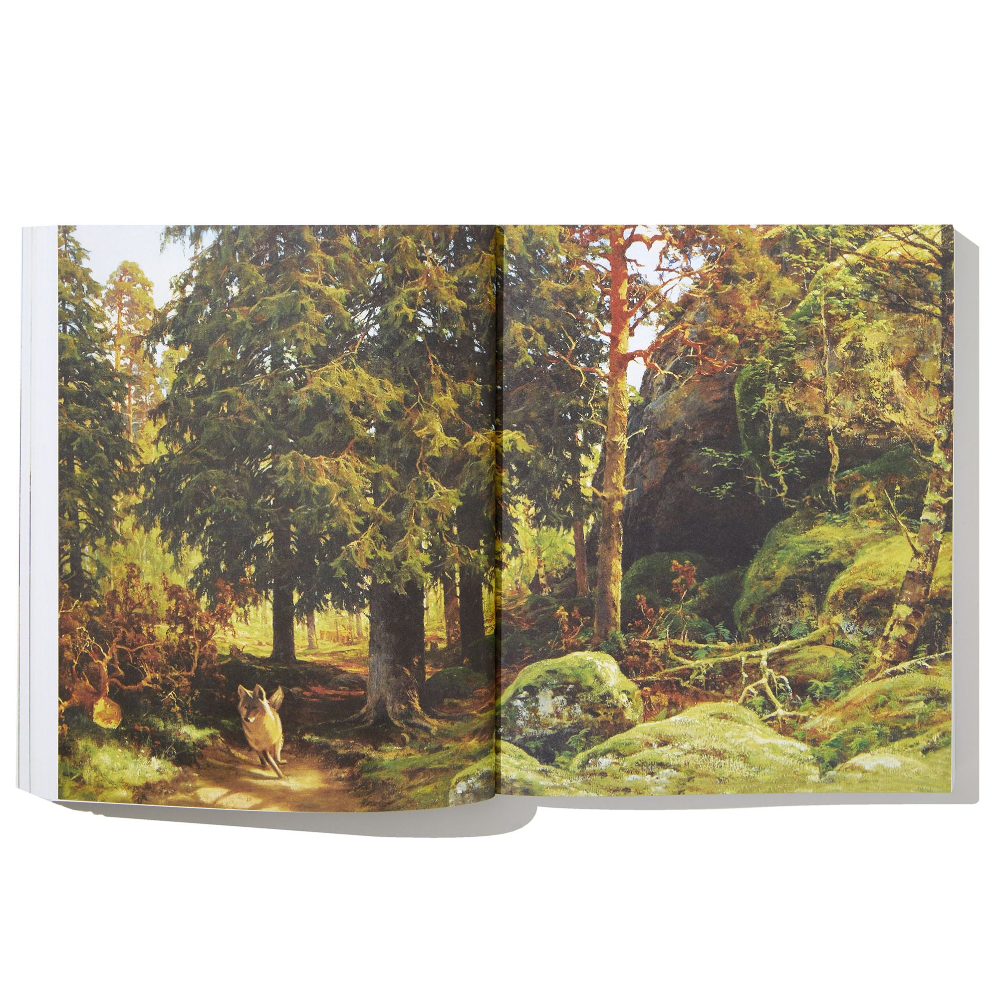 The Eyes and the Impossible (Newbery Medal Winner)