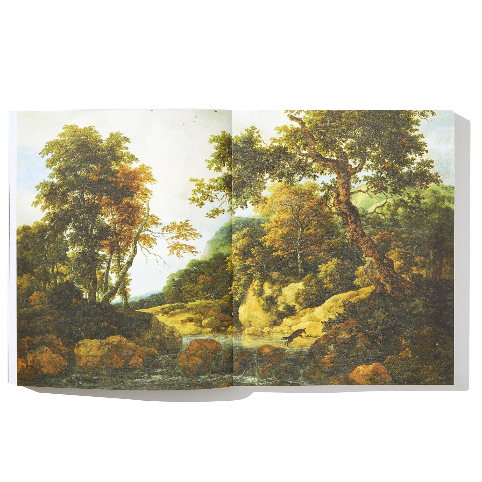 The Eyes and the Impossible (Newbery Medal Winner)