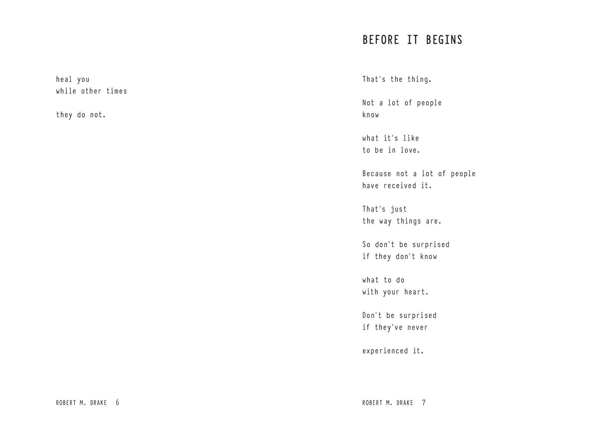 Winter Roses after Fall