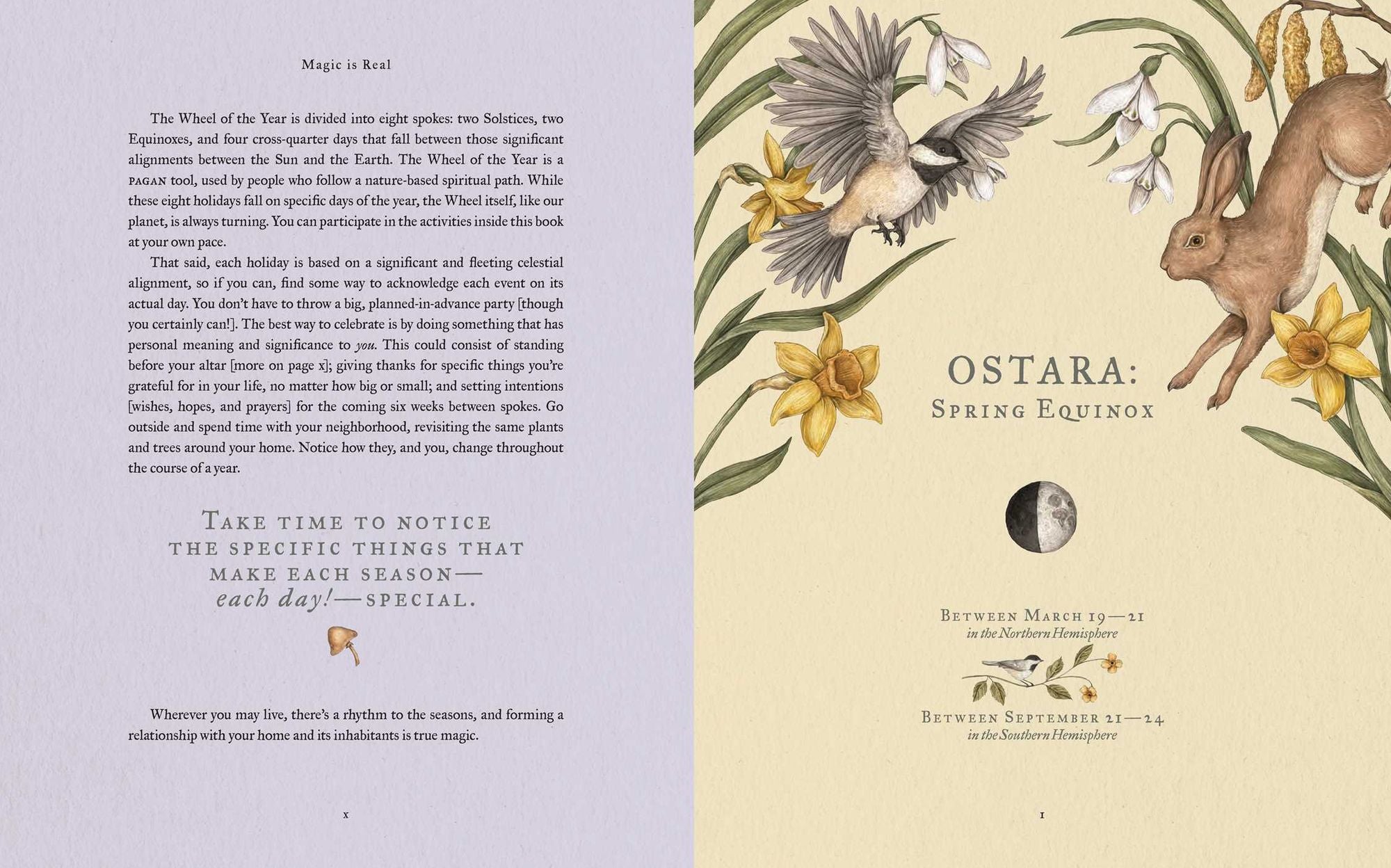 The Wheel of the Year: An Illustrated Guide to Nature's Rhythms