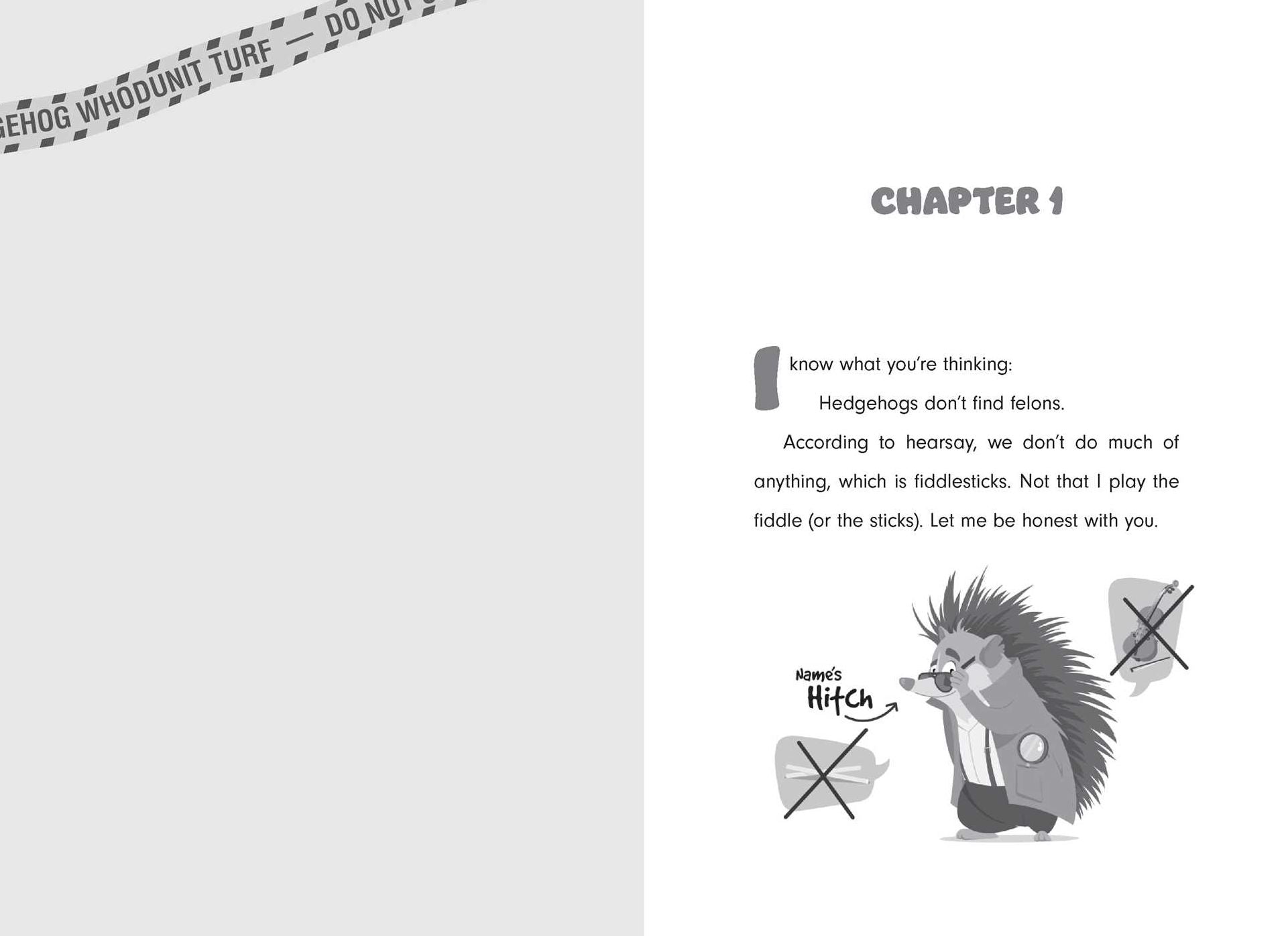 Hedgehog Whodunit: The Carousel Caper
