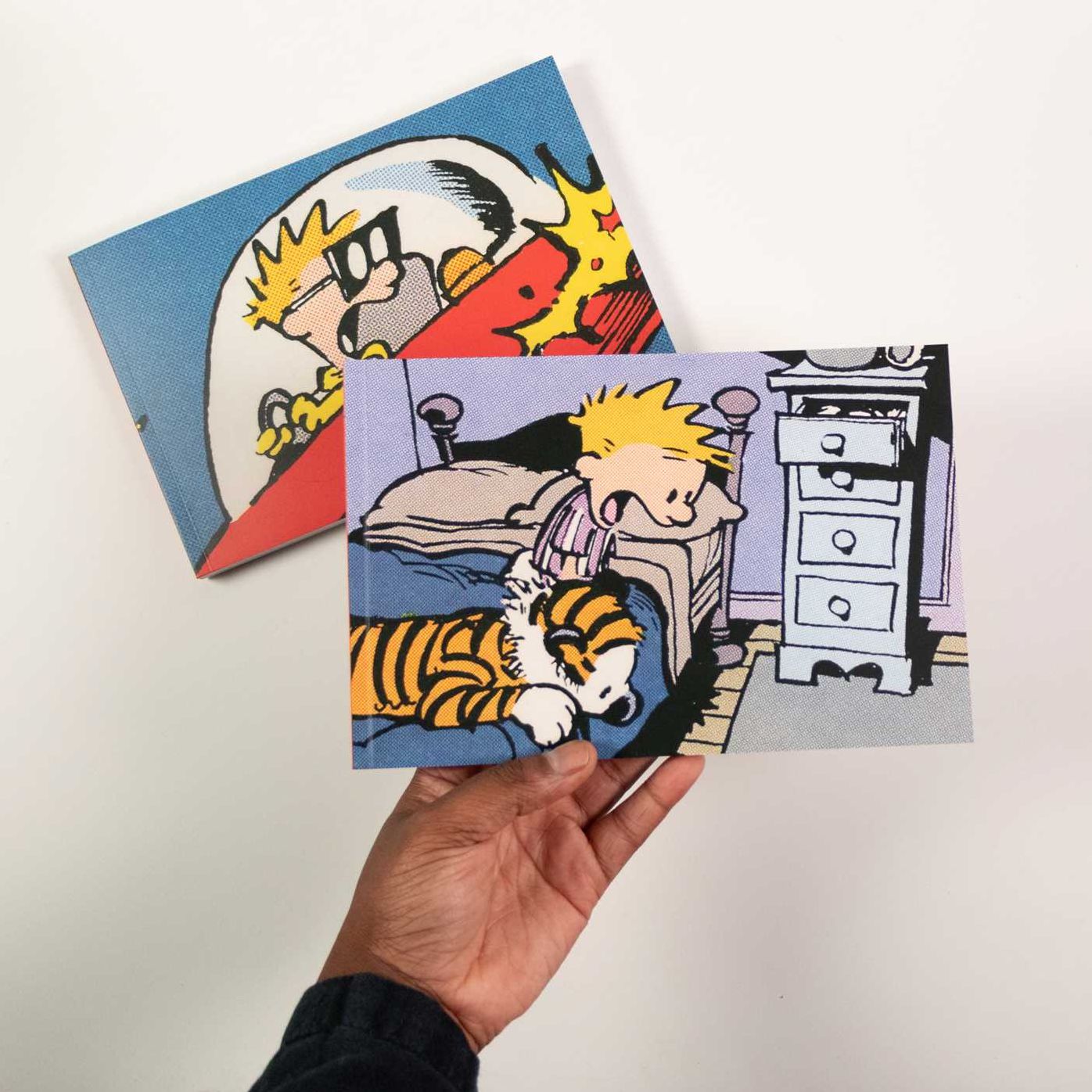 The Calvin and Hobbes Portable Compendium Set 1