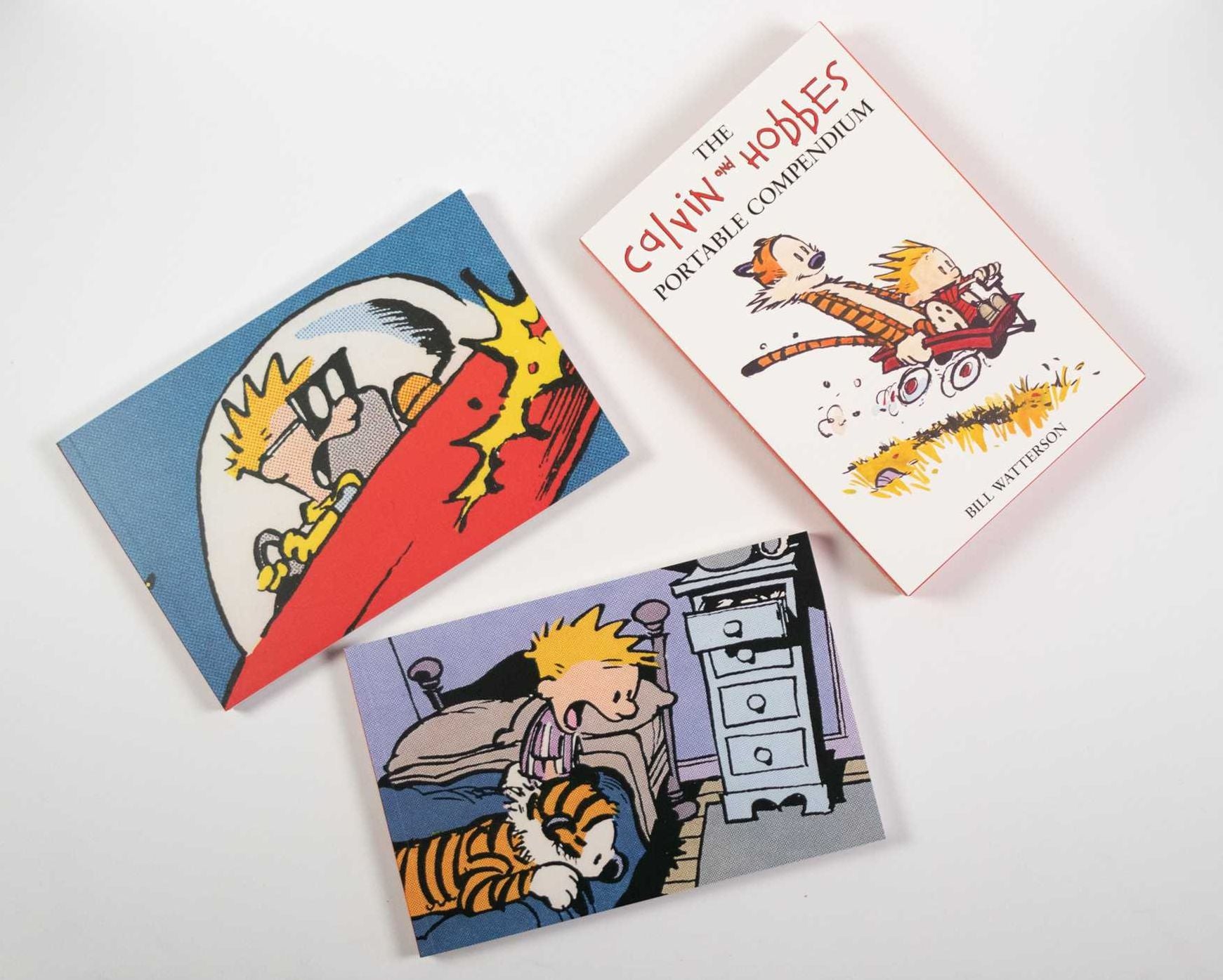 The Calvin and Hobbes Portable Compendium Set 1