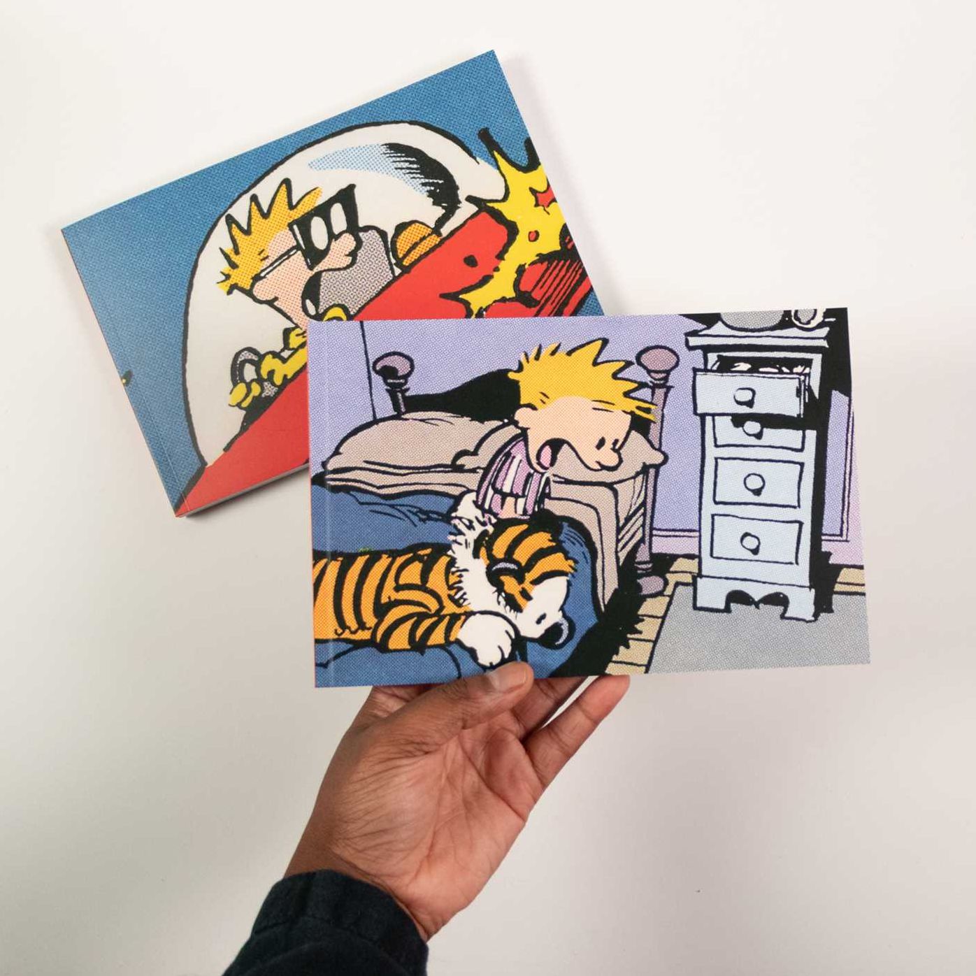The Calvin and Hobbes Portable Compendium Set 1