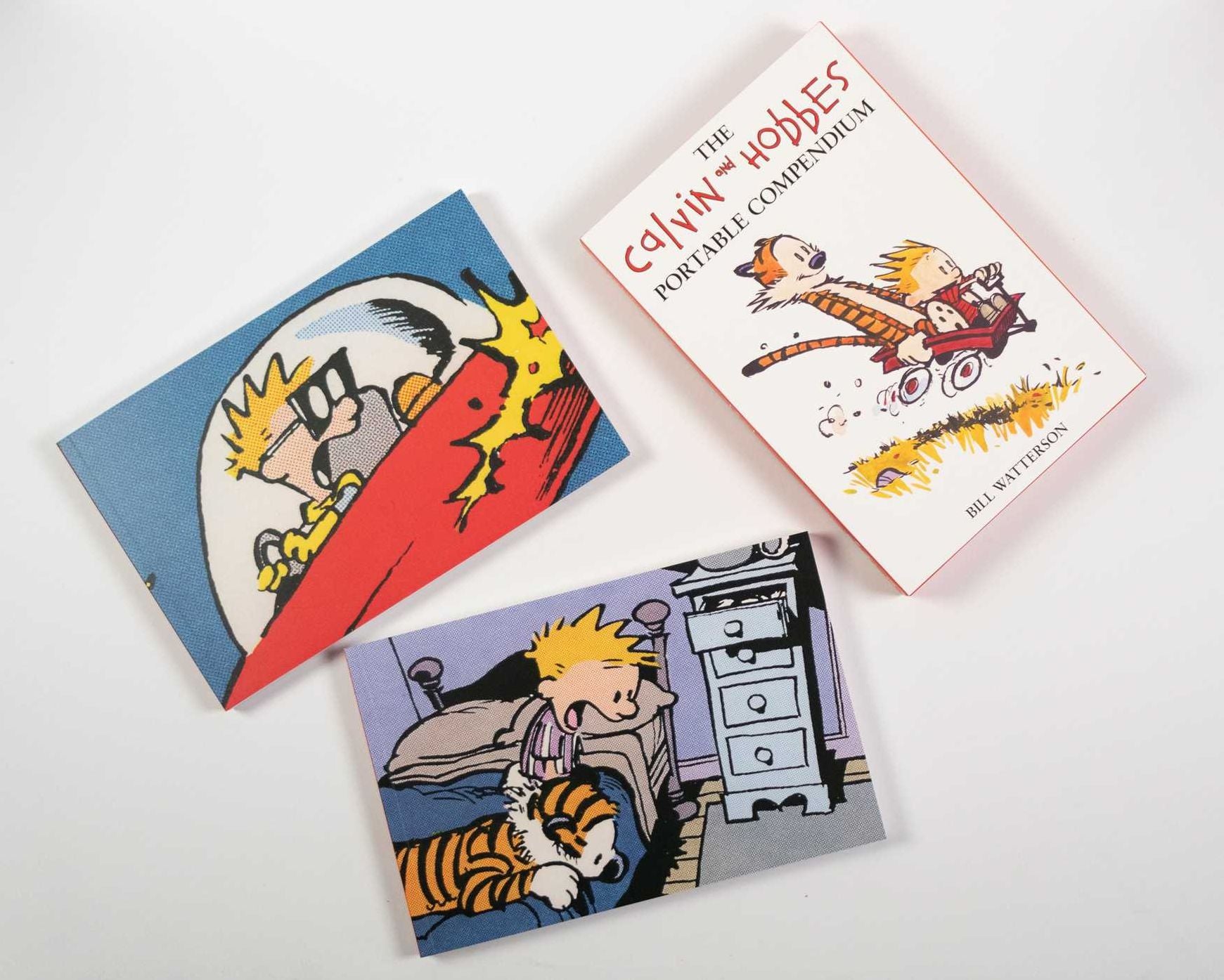 The Calvin and Hobbes Portable Compendium Set 1
