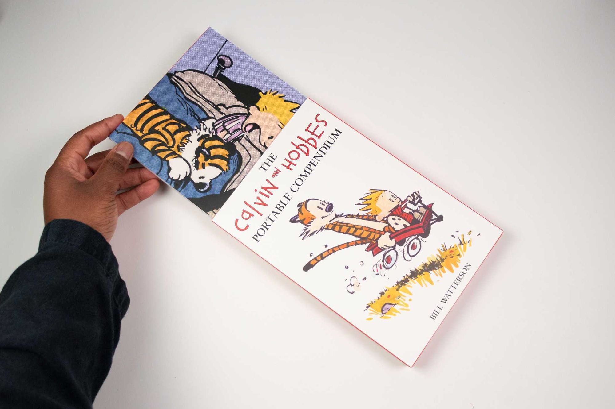 The Calvin and Hobbes Portable Compendium Set 1