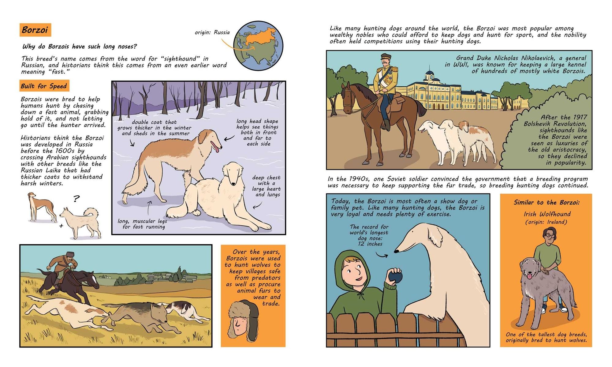 Why Are Dogs: An Illustrated History of the Wonderful World of Dogs