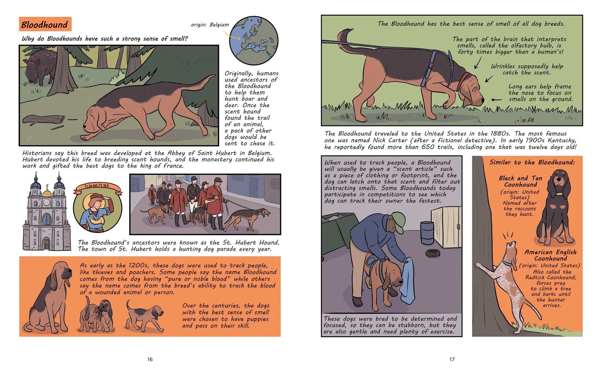 Why Are Dogs: An Illustrated History of the Wonderful World of Dogs