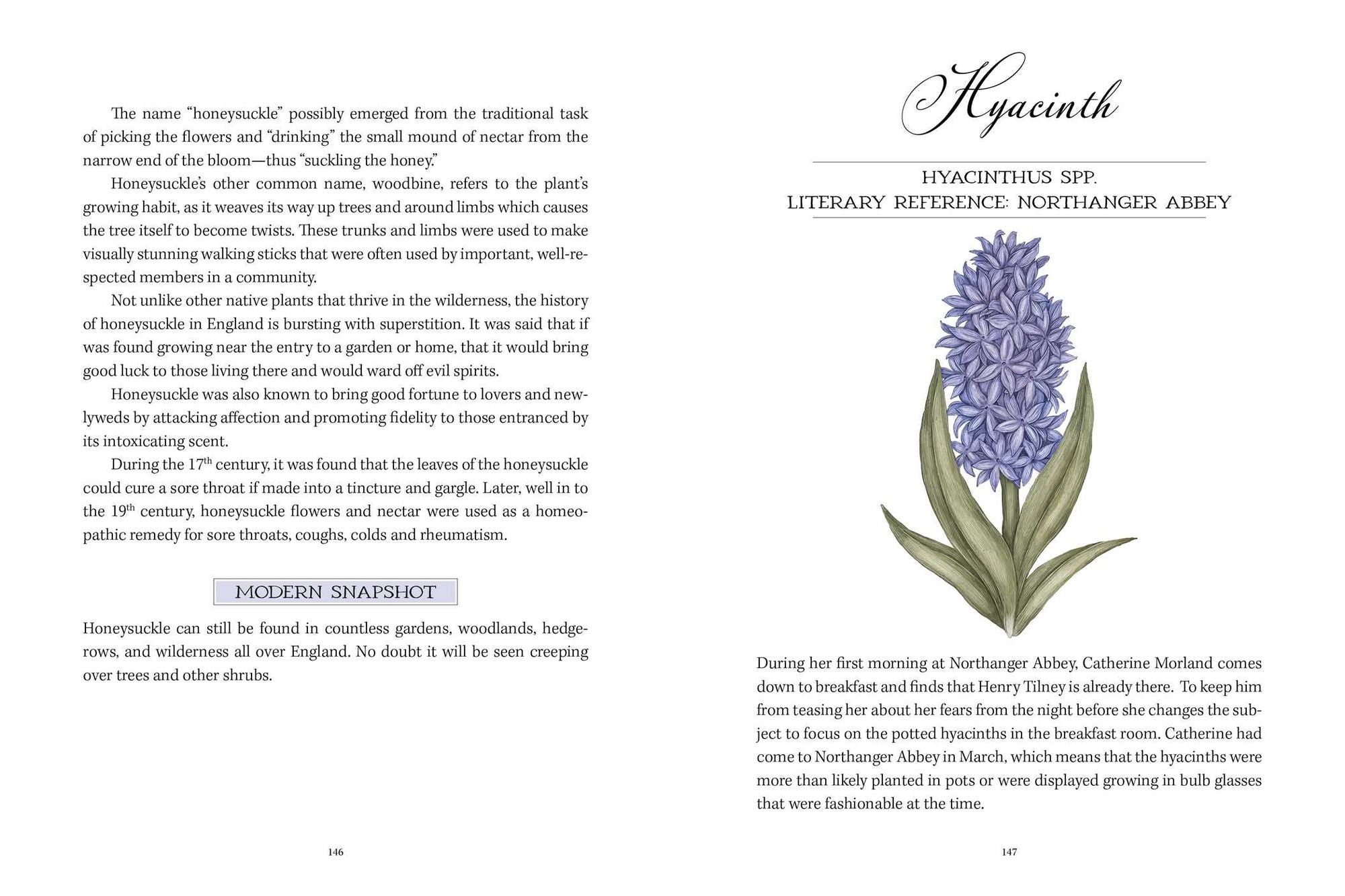 Jane Austen's Garden: A Botanical Tour of the Classic Novels