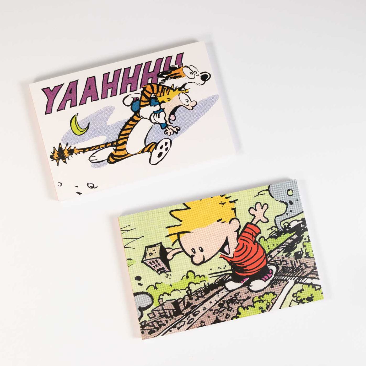 The Calvin and Hobbes Portable Compendium Set 2