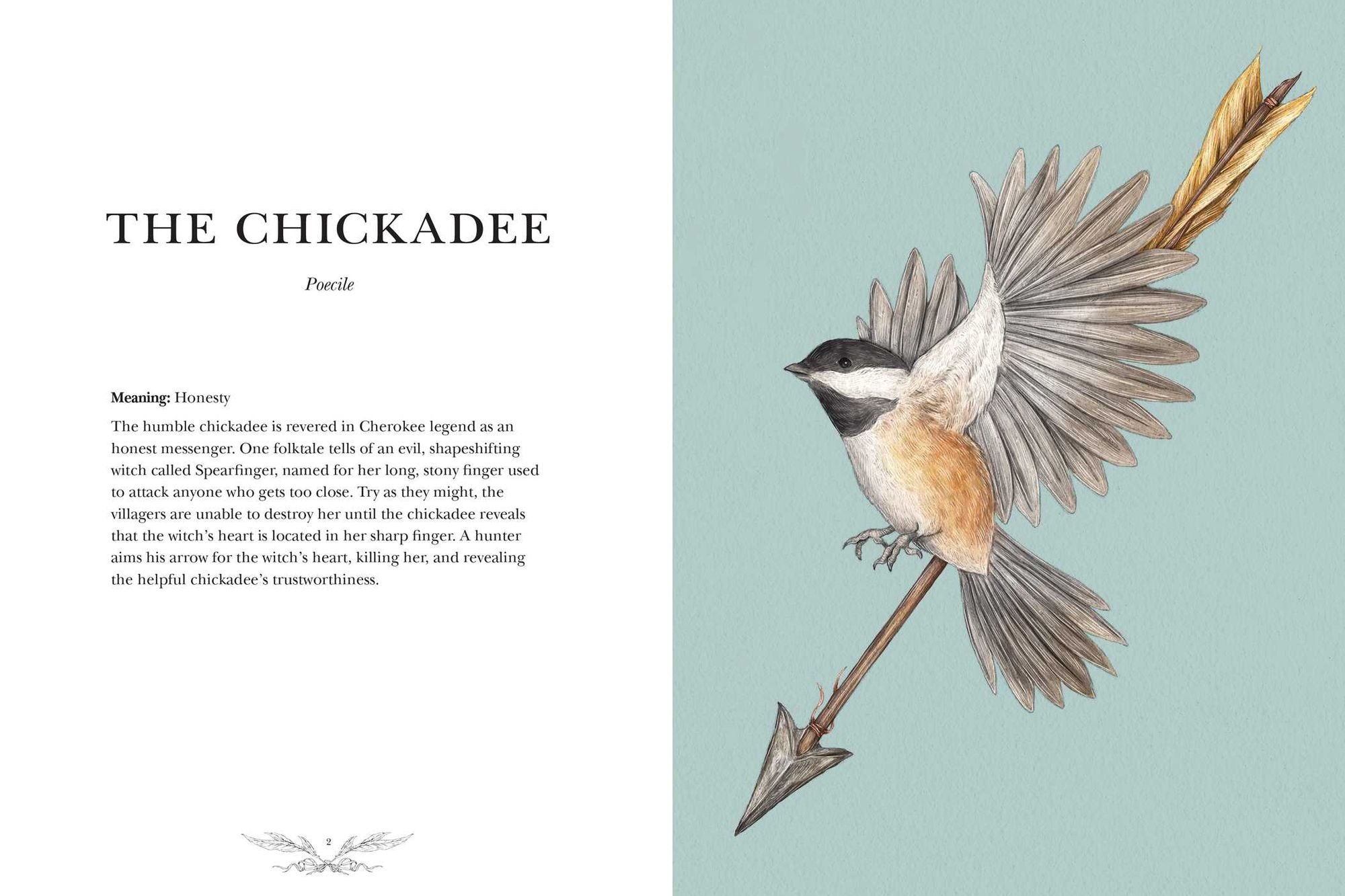 Ornithography: An Illustrated Guide to Bird Lore & Symbolism