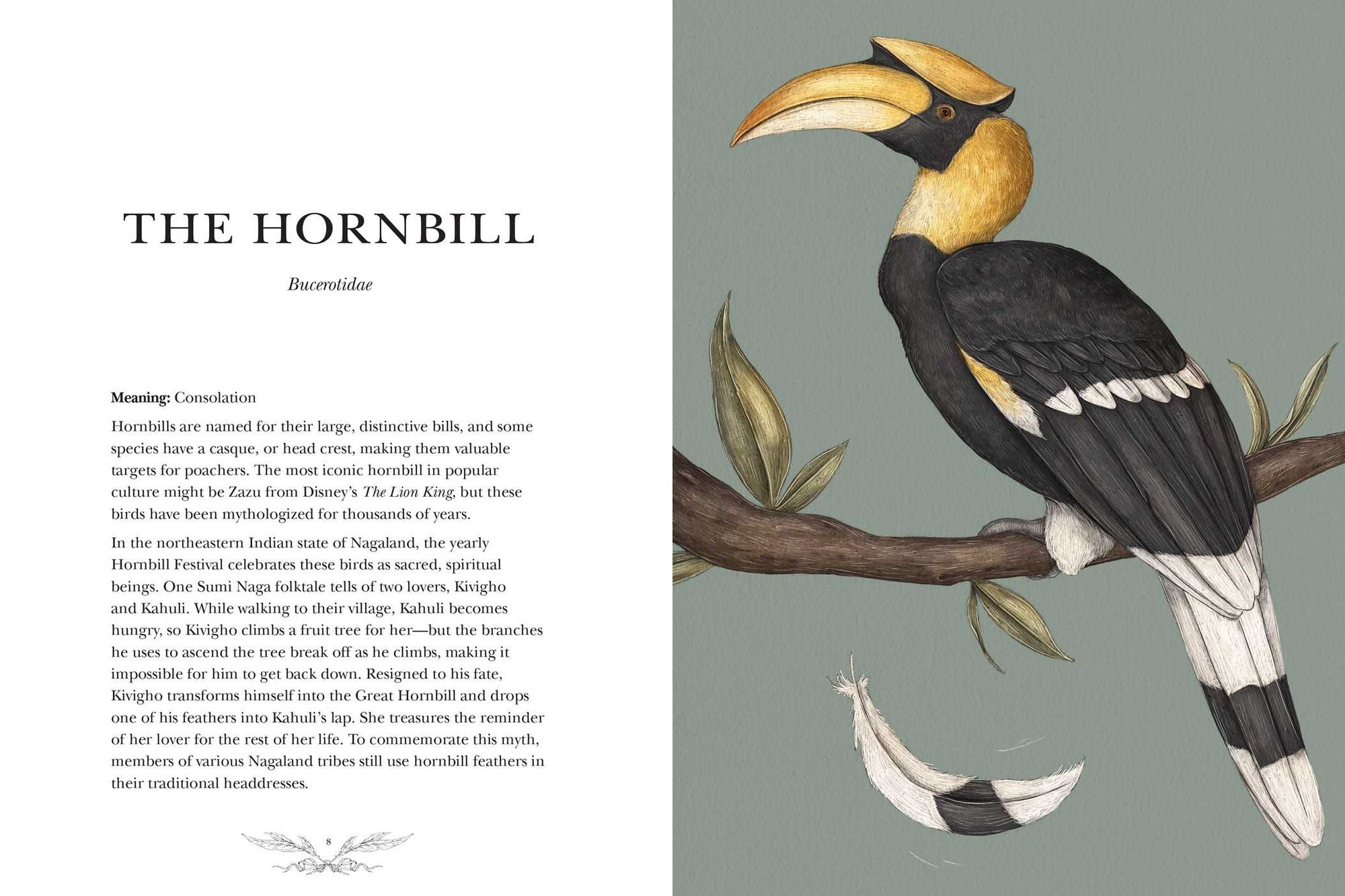 Ornithography: An Illustrated Guide to Bird Lore & Symbolism