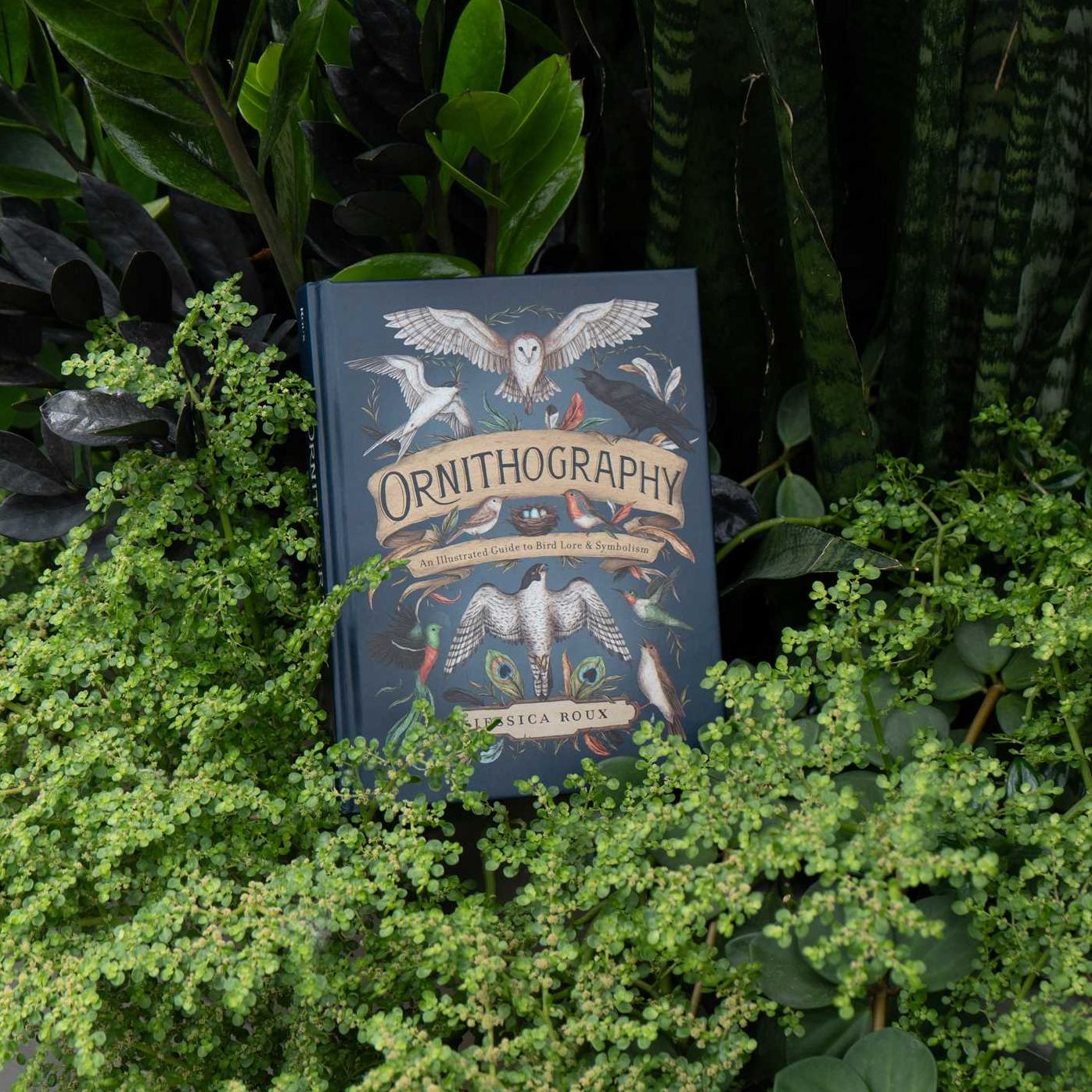 Ornithography: An Illustrated Guide to Bird Lore & Symbolism