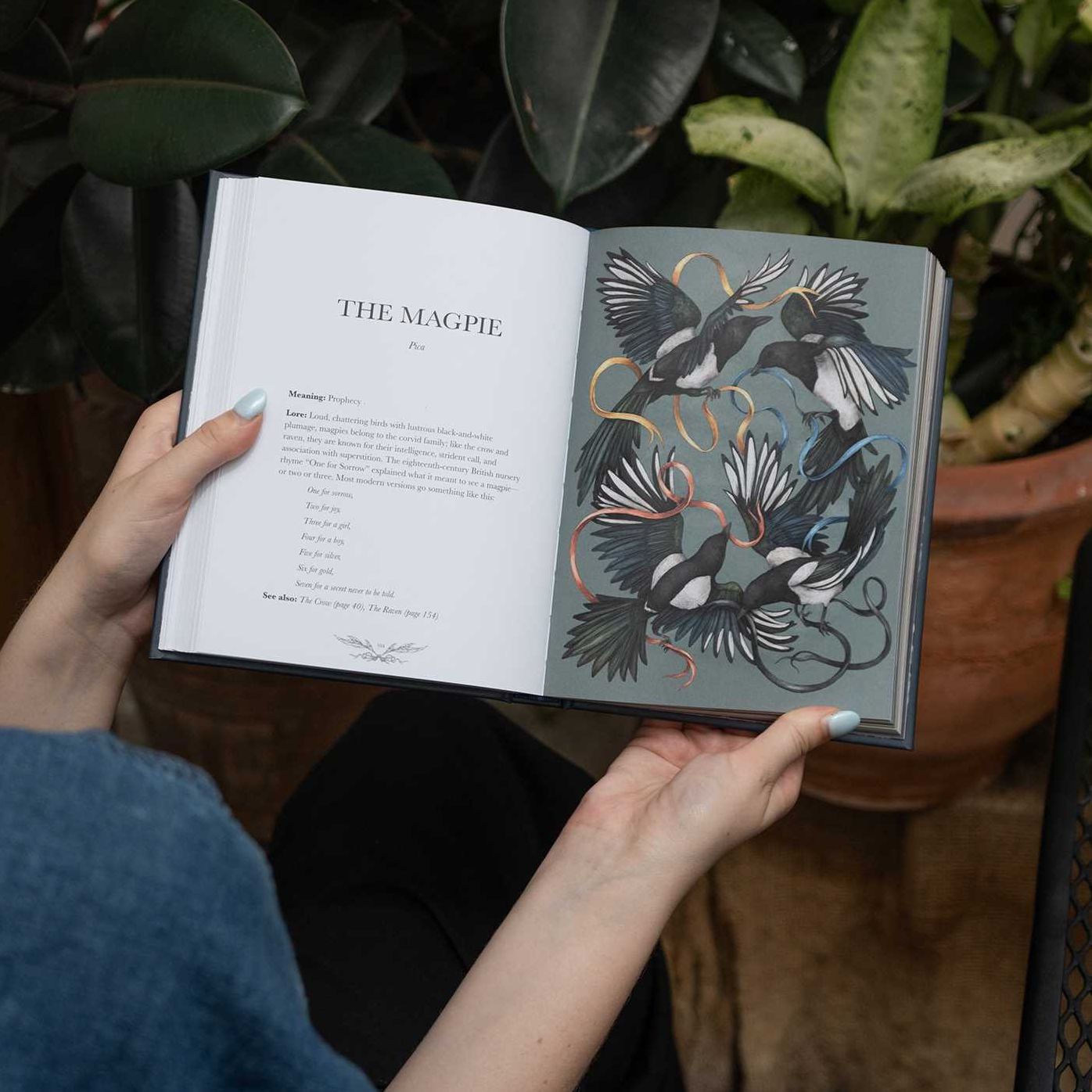 Ornithography: An Illustrated Guide to Bird Lore & Symbolism