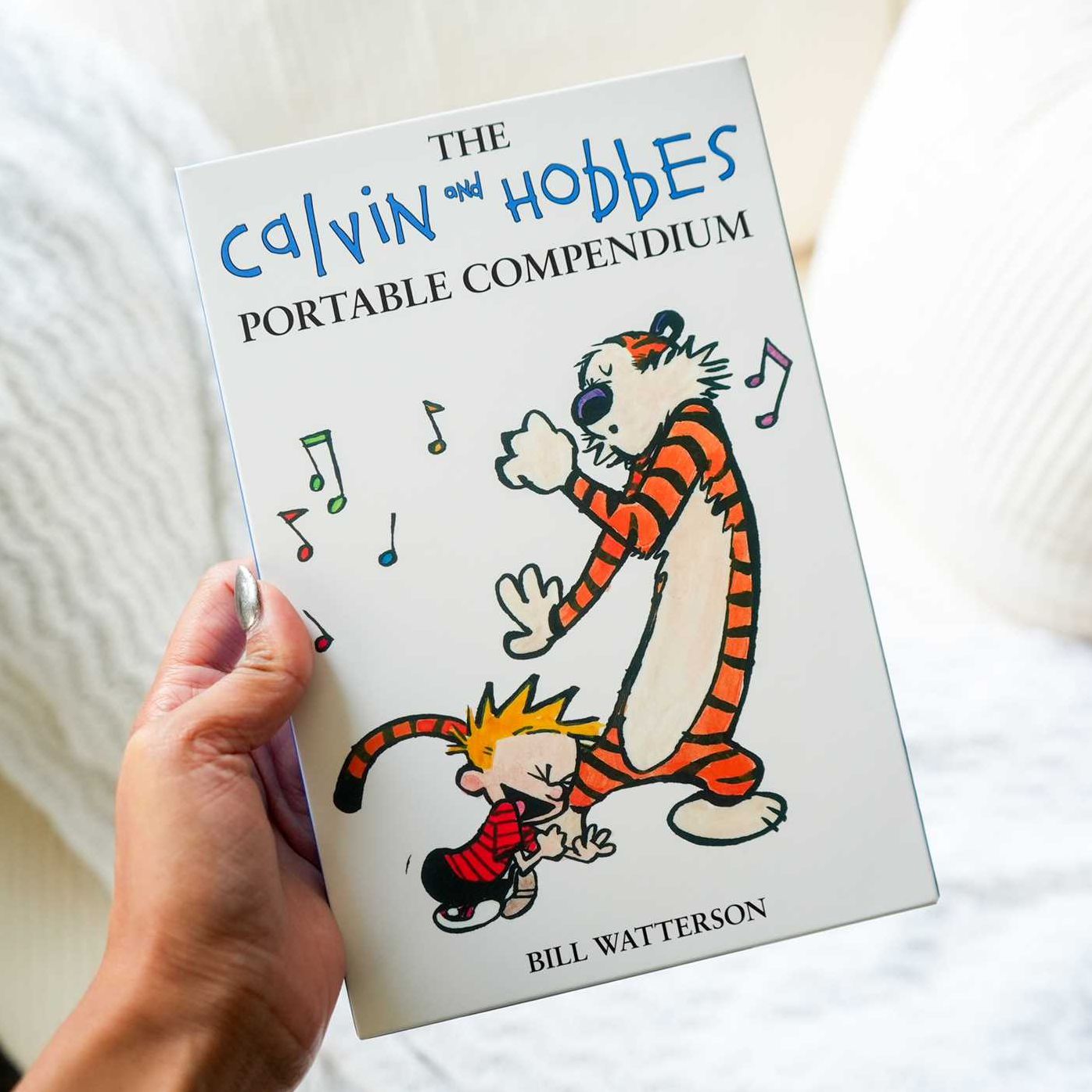 The Calvin and Hobbes Portable Compendium Set 6