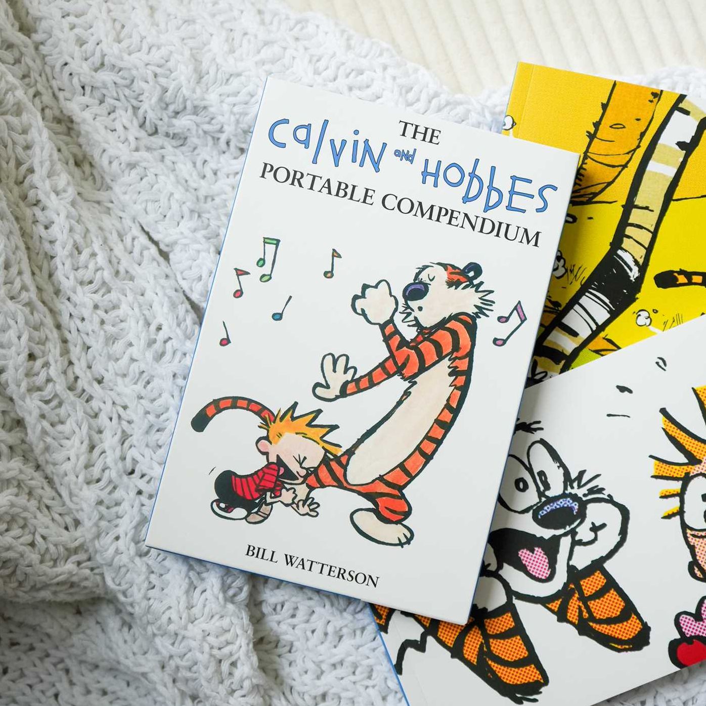 The Calvin and Hobbes Portable Compendium Set 6