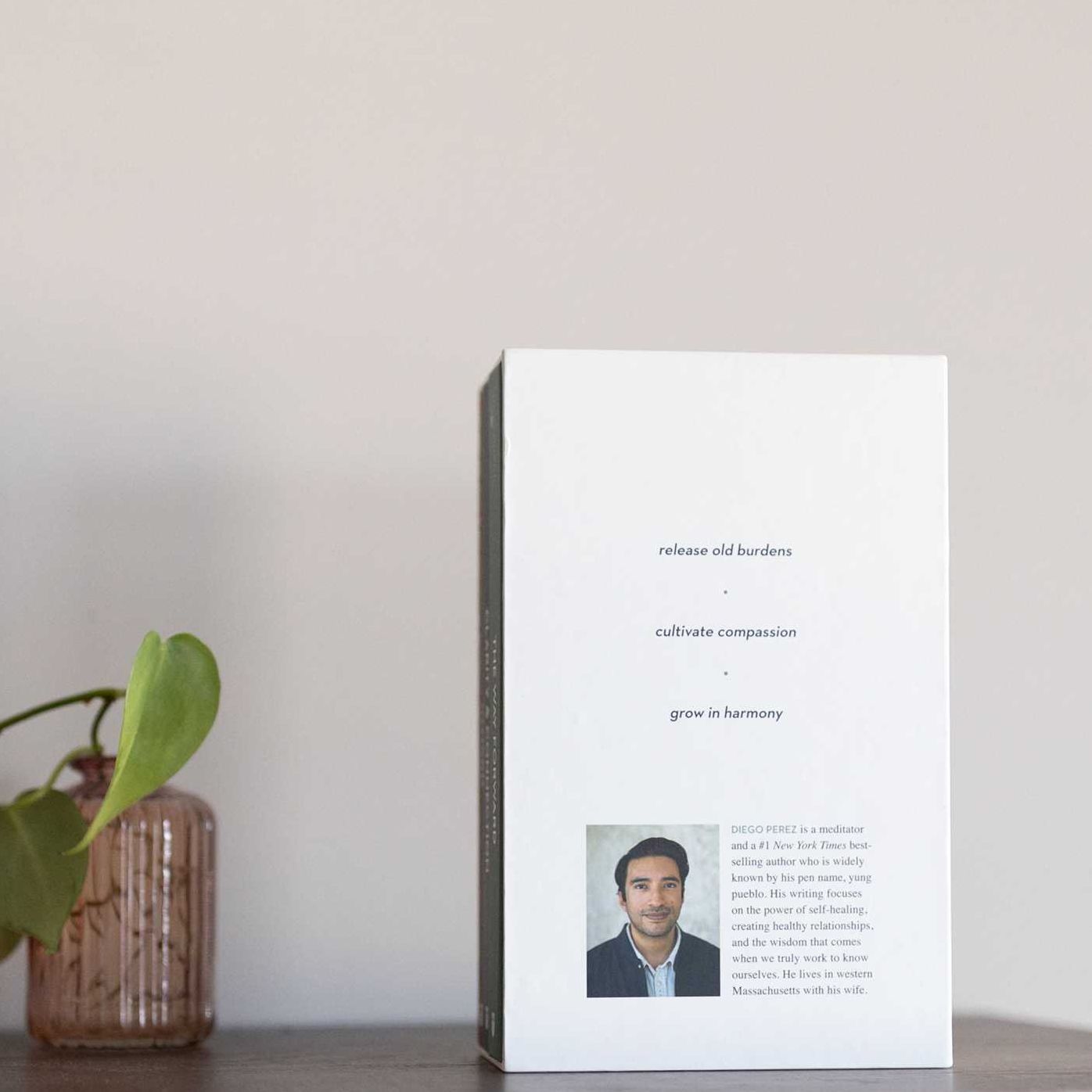 The Inward Trilogy: yung pueblo Box Set