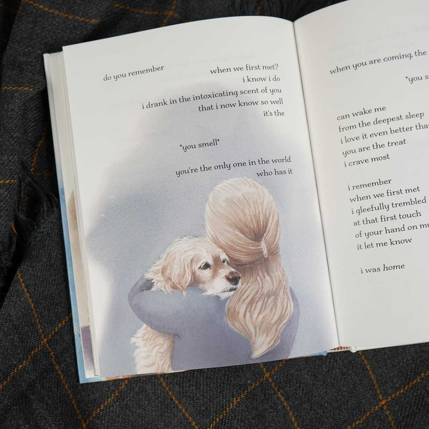 I'm Still Here: A Dog's Purpose Forever