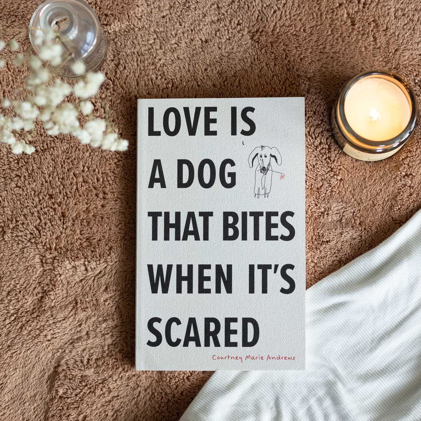 Love Is a Dog That Bites When It's Scared