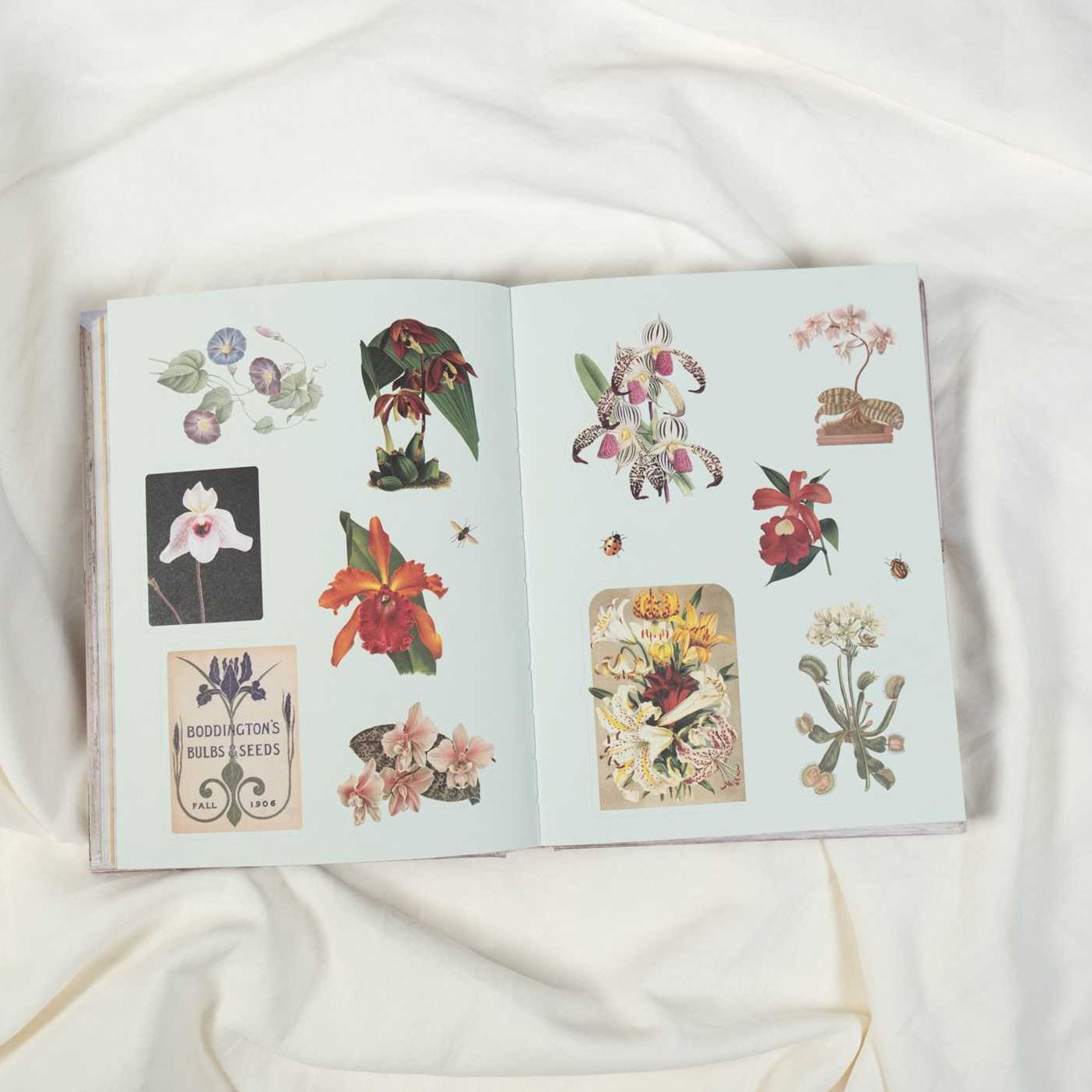 Cabinet of Curiosities II: Over 1,000 Curated Stickers from the Fascinating Collections of the Smithsonian