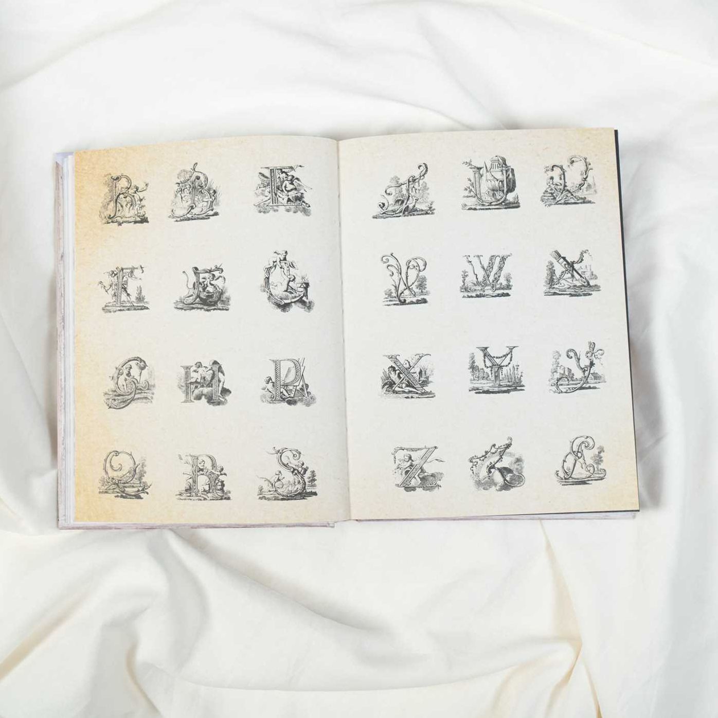 Cabinet of Curiosities II: Over 1,000 Curated Stickers from the Fascinating Collections of the Smithsonian
