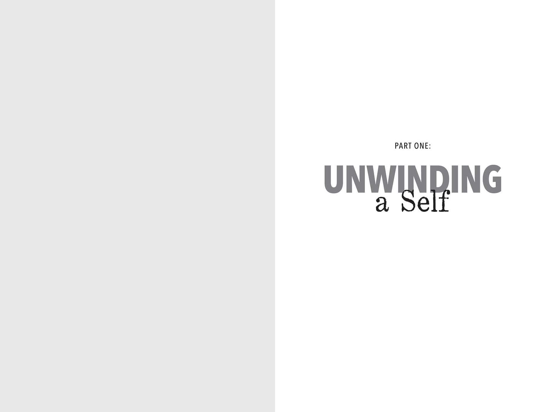 Identity Theft, Second Edition: Rediscovering Ourselves After Stroke
