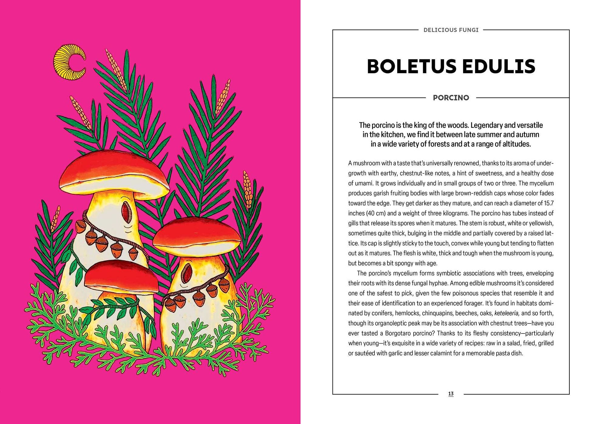 Powerful Mushrooms: An Illustrated Anthology