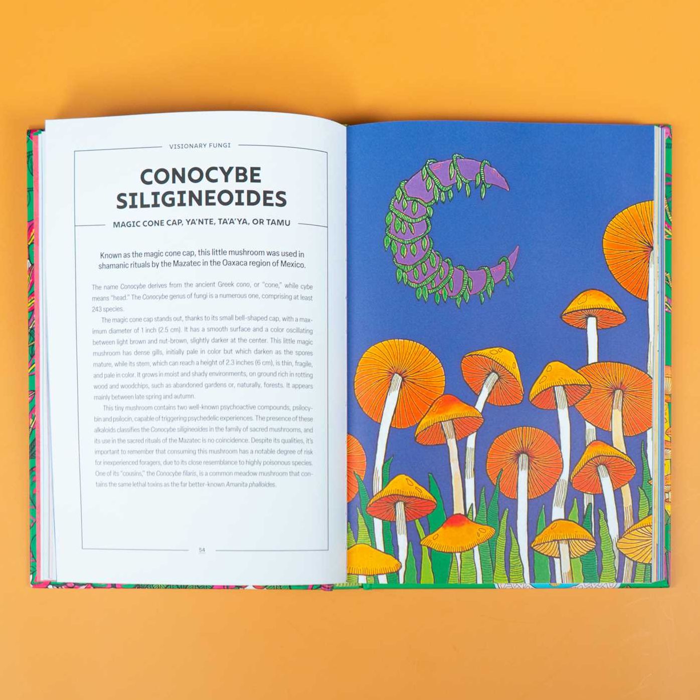 Powerful Mushrooms: An Illustrated Anthology
