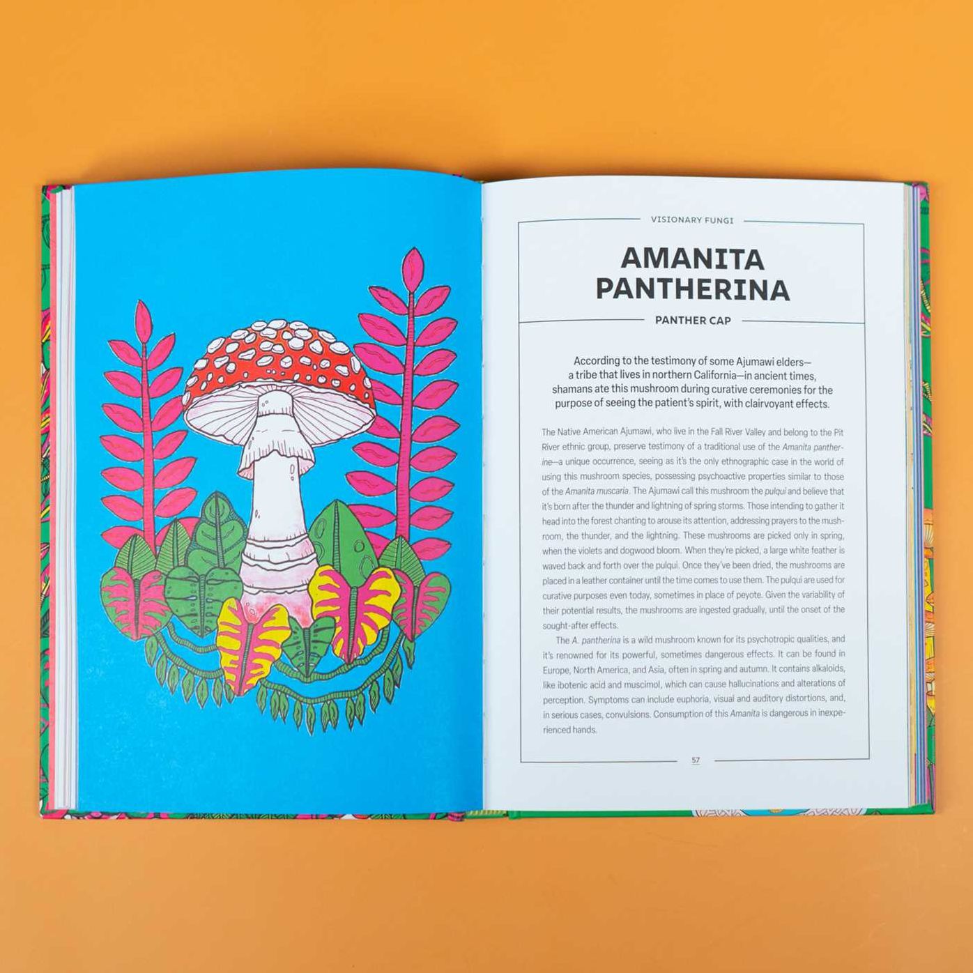 Powerful Mushrooms: An Illustrated Anthology