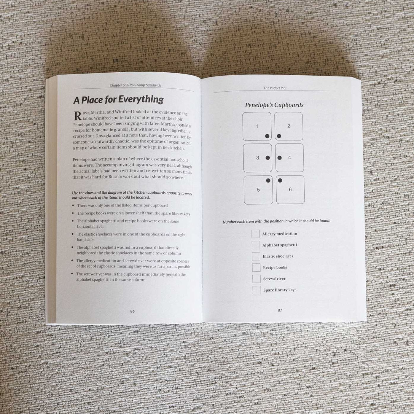 The Murder Mystery Club Puzzle Book: The Perfect Plot
