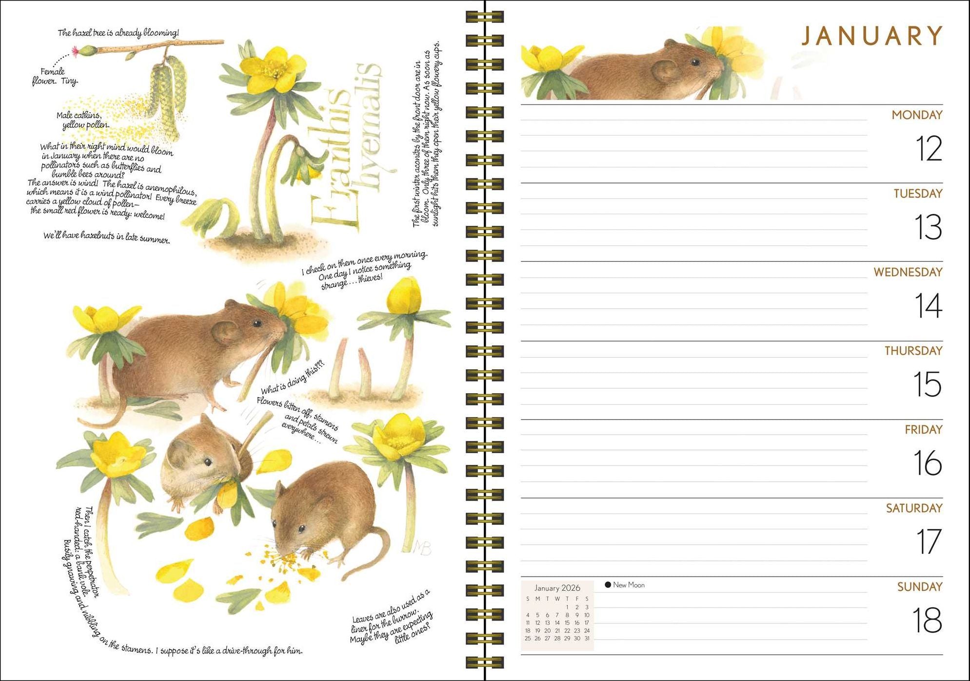 Marjolein Bastin Nature's Inspiration 12-Month 2026 Engagement Calendar