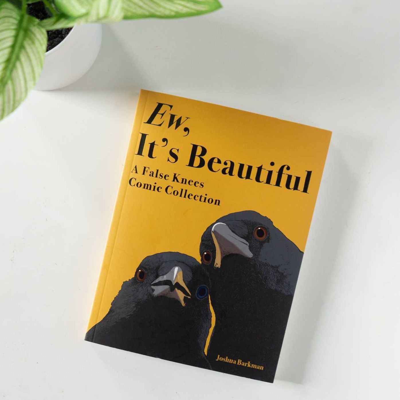Ew, It's Beautiful: A False Knees Comic Collection