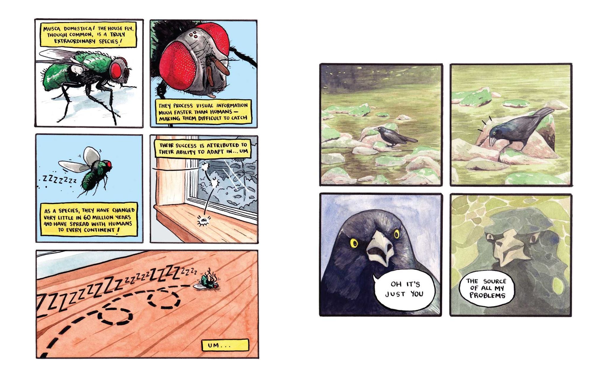 Ew, It's Beautiful: A False Knees Comic Collection