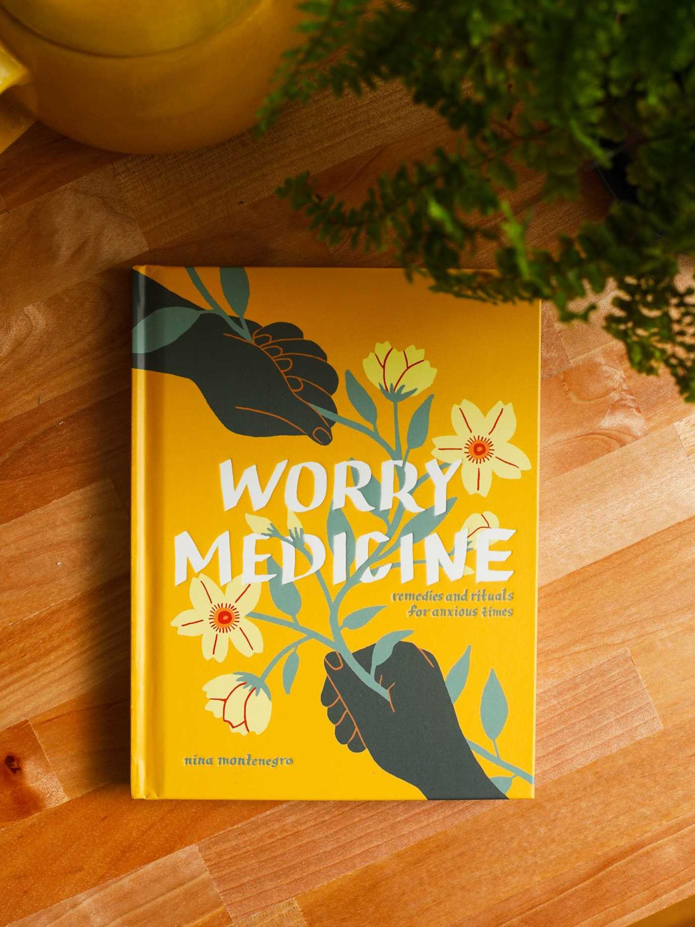 Worry Medicine: Remedies and Rituals for Anxious Times